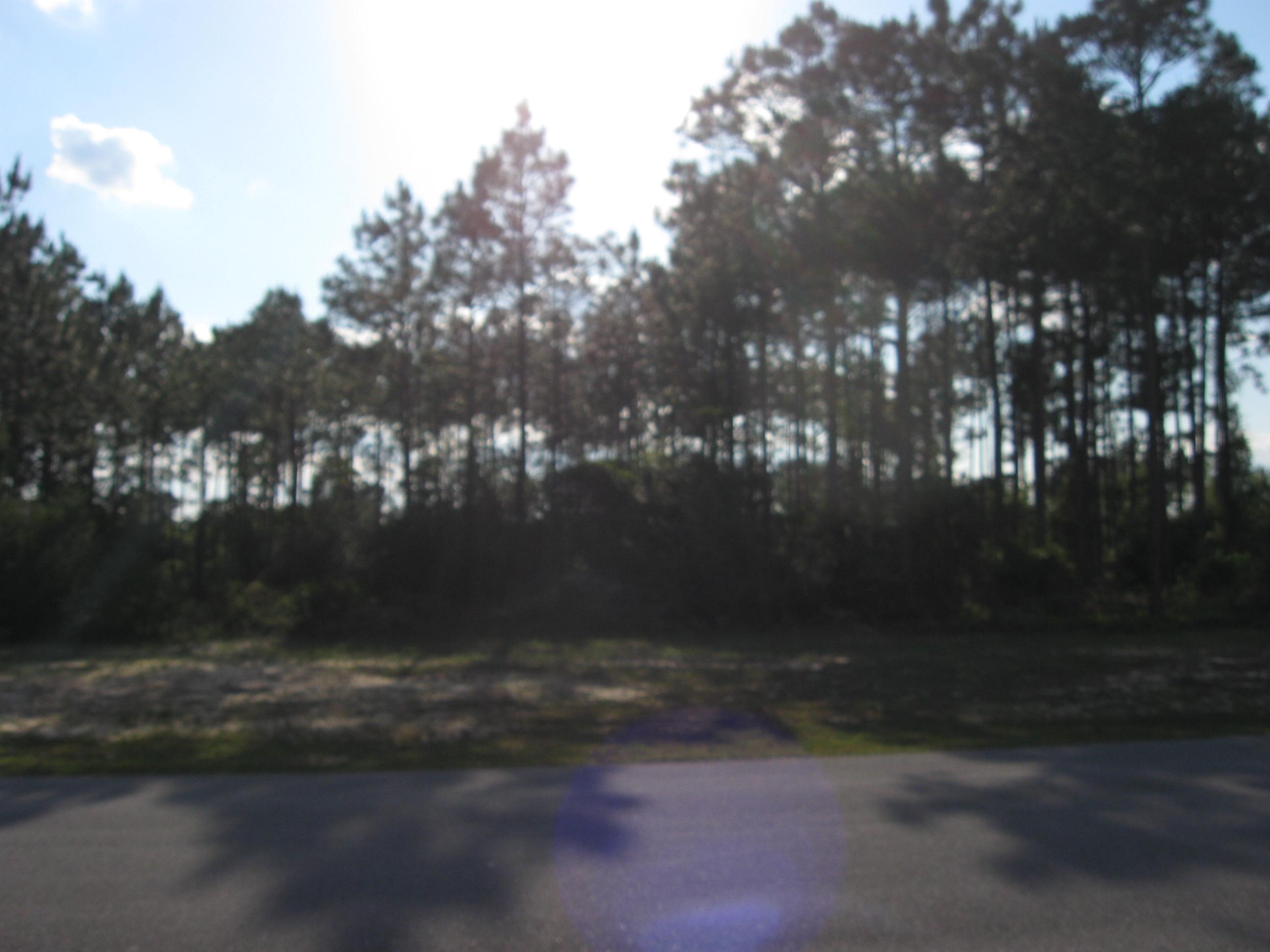 WINDSWEPT ESTATES - Land