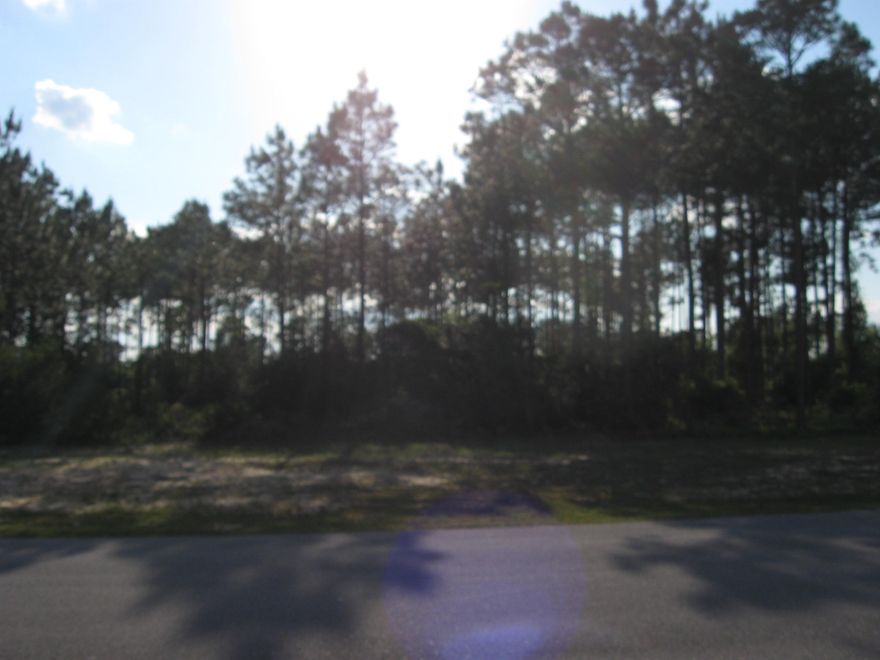 PRICE REDUCED! DON'T MISS OUT on this ''Prime Golf Course Lot'' on Tee Box 18 to Build your ''Dream Home'' in the Gated Golf Course Community-Windswept Estates! Enjoy Windswept Dunes Golf Course, a 5-Star 230 Acre Championship course ranked ''Top Ten'' in the country by Golf Magazine upon opening. Additional Amenities include Community Pool- Club House,Pavilion(equipped with Grills& Picnic Tables),Tennis & Basketball Courts & Playground. Located just outside of Freeport & minutes from the White Sand Beaches on the Emerald Coast & the NW Florida Beaches Int'l Airport. Approx 20-30 minutes or so to Excellent Shopping & Dining in either Destin or Panama City Beach. DON'T MISS OUT on this awesome opportunity to either Build or Invest in the serene beauty of this quiet & peaceful Subdivision!