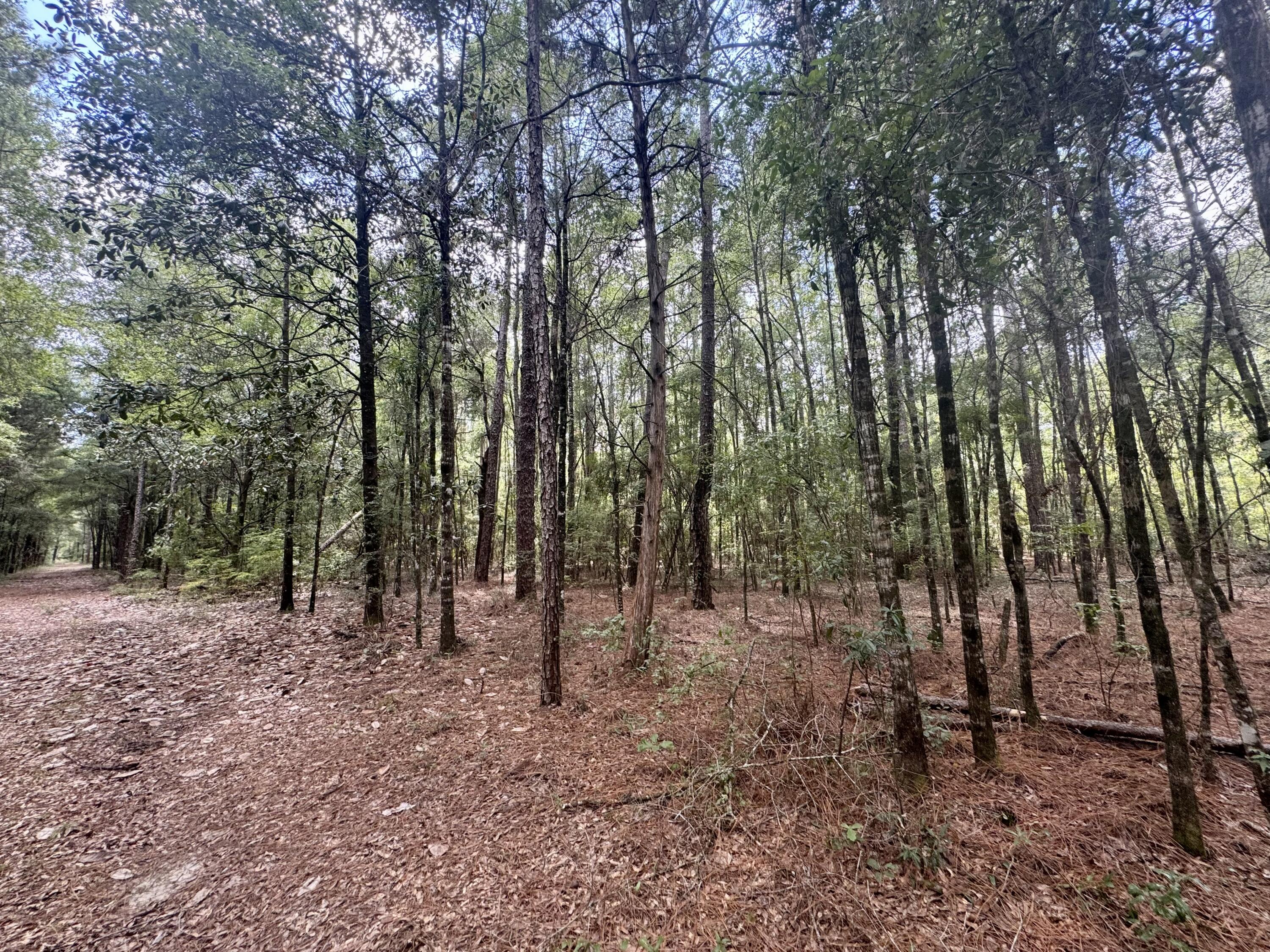 METES & BOUNDS - Land