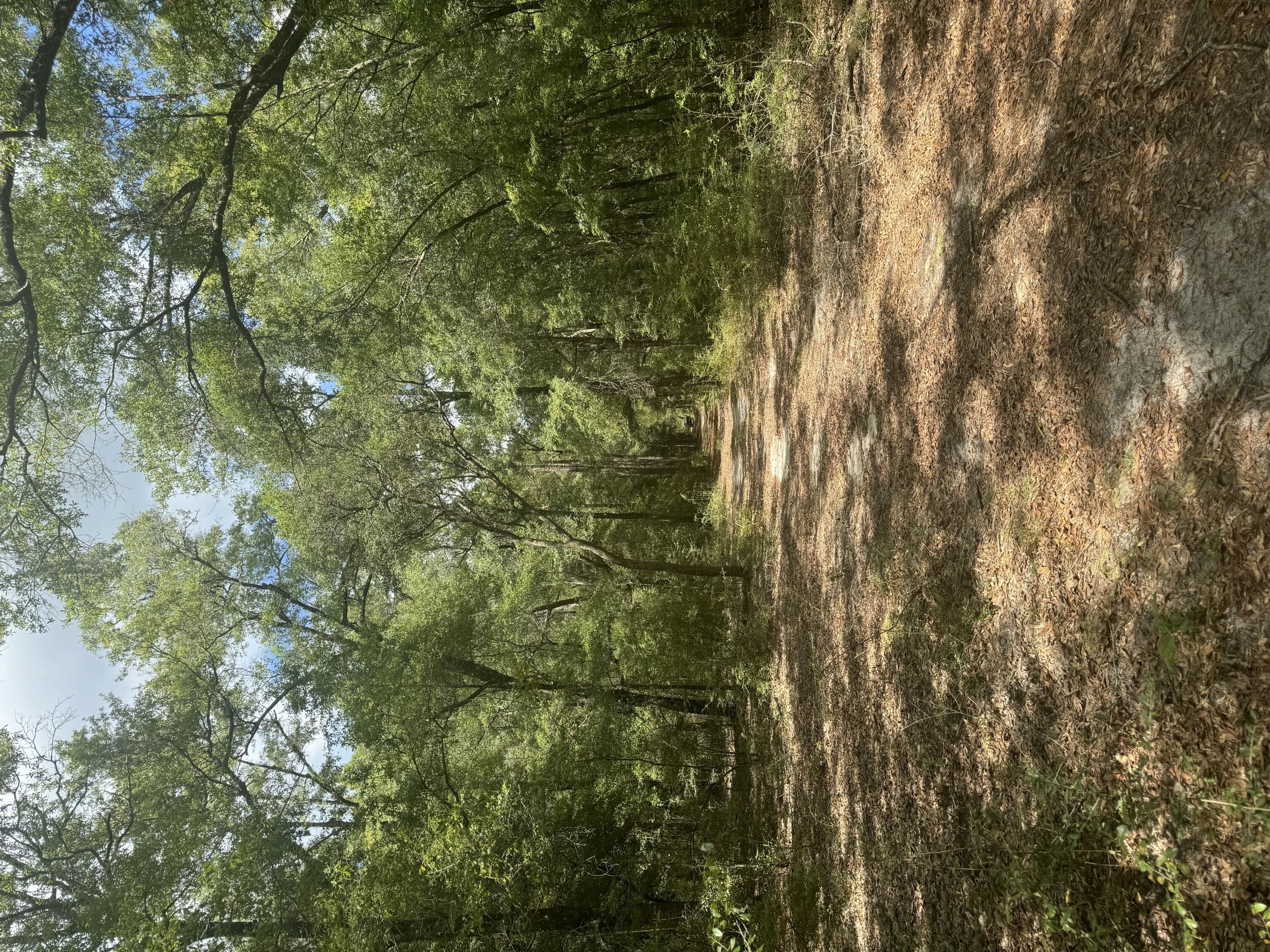 METES & BOUNDS - Land