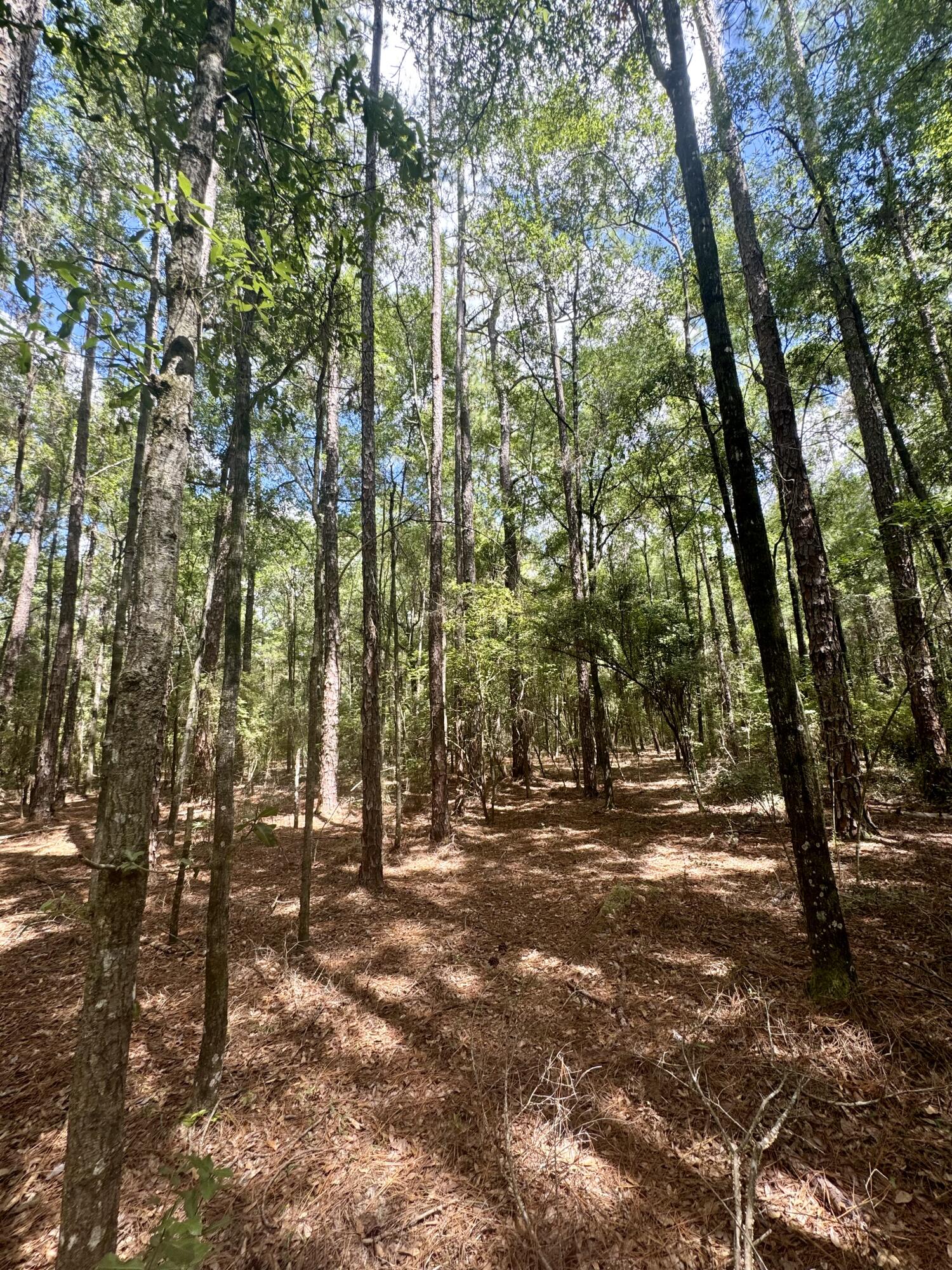 METES & BOUNDS - Land