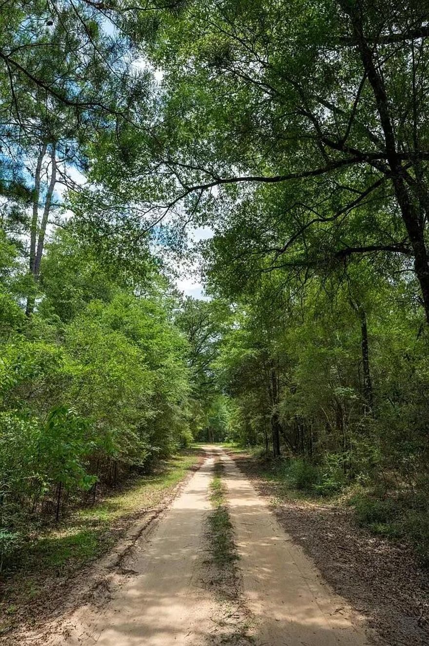 Back on the market at no fault of the seller! Water and Electric available! ZERO FLOOD ISSUES! This stunning 10-acre parcel is an idyllic canvas for your weekend escape, dream vacation home, or savvy investment venture. Just 30 minutes away from the sun-kissed beaches, this property boasts unrivaled tranquility and convenience.Perfectly positioned with nearly 500 feet of coveted HWY 90 road frontage. Imagine the endless possibilities for a charming vacation retreat or a lucrative investment opportunity, thanks to its prime location. This gem comes fully equipped with essential utilities -- water and electricity are readily available at the road. What's more, all adjacent lots have been perk tested and did not require raised septic tanks so we can think that this lot will pass as well Say goodbye to wetland concerns, as this plot is free from such limitations, ensuring your vision can become a reality without compromise. Beyond its practical amenities, this land doubles as a hunter's paradise. Embrace the allure of nature with sprawling terrain perfect for unparalleled hunting experiences. Don't miss this chance to own your private haven, a versatile canvas offering the quintessential blend of accessibility, utility, and natural beauty. Make your getaway dreams a reality here!