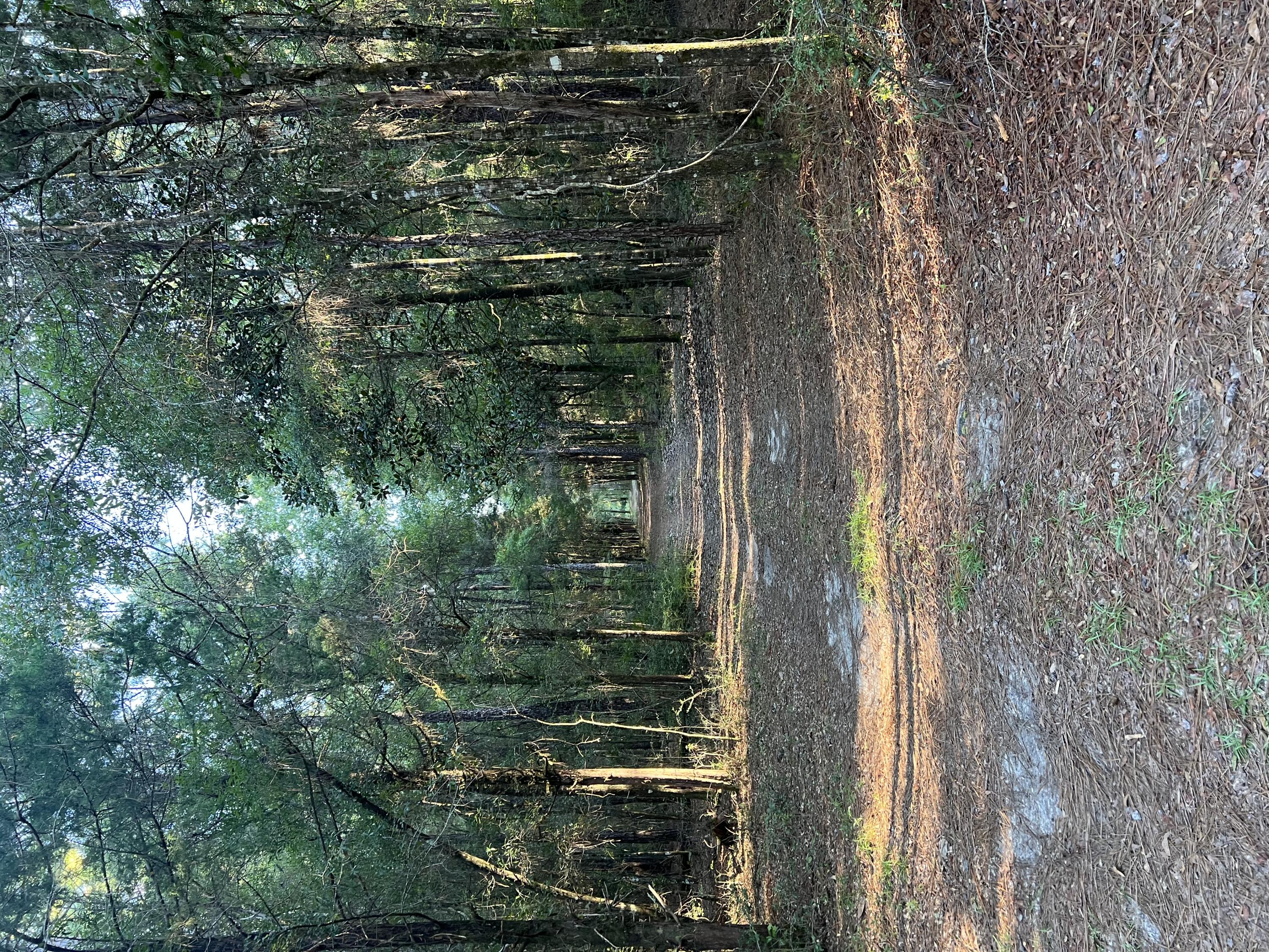 METES & BOUNDS - Land