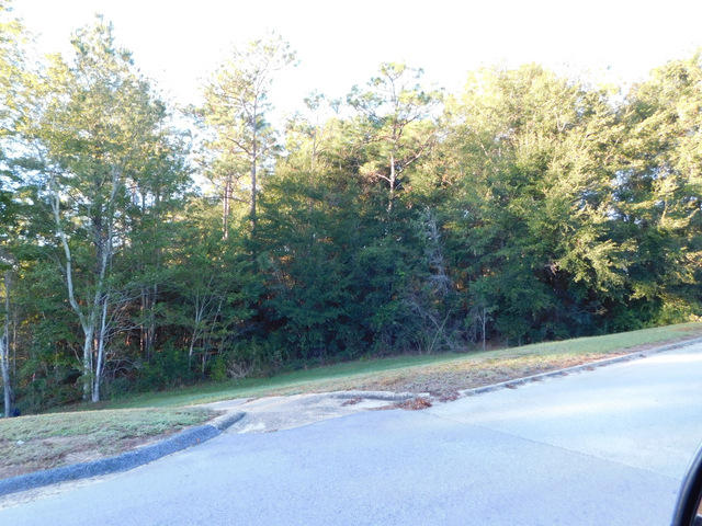 TIMBERLINE ESTATES - Land