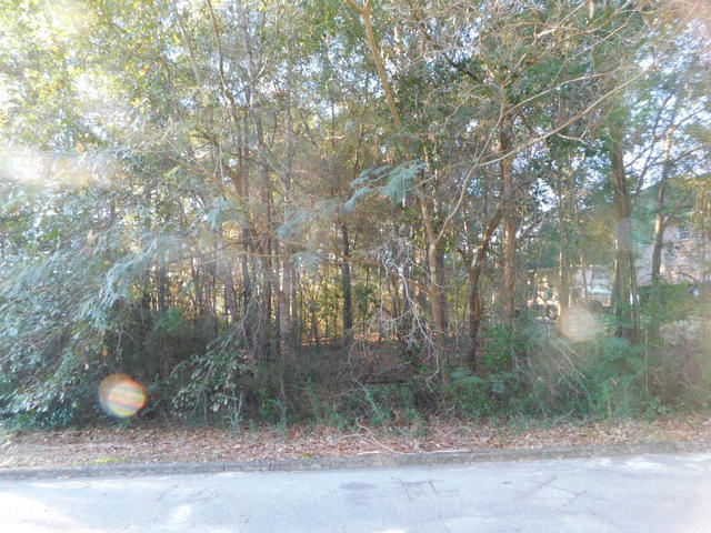 TIMBERLINE ESTATES - Land