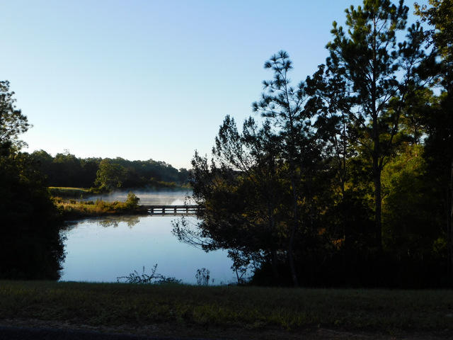 TIMBERLINE ESTATES - Land