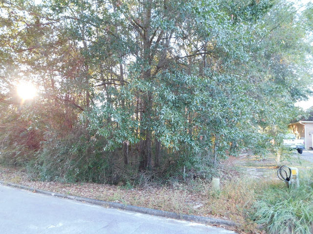 TIMBERLINE ESTATES - Land