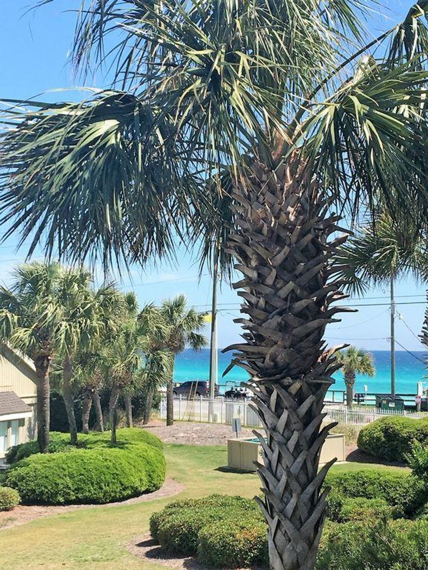 Imagine yourself just steps away from the Gulf in a breathtaking Beach Villa. From the beautiful wood tile flooring to the impressive shiplap ceilings with exposed wooden beams, every detail of this condo has been has been designed to comfort the eye. The flawless white quartz countertops and wood cabinets designed by Martha Stewart are contrasted masterfully by the stainless steel applc's and tile backsplash. Enjoy refreshments from your balcony that overlooks the pool and modest gulf views. A custom built bunk room and walk in closet has been added upstairs to make this unit just shy of 1300 sq ft.This villa is truly one of a kind and a must see. All furniture and appliances are included and less than 2 years old. Completely updated and move in ready. Rental income appprox $50K per yr!