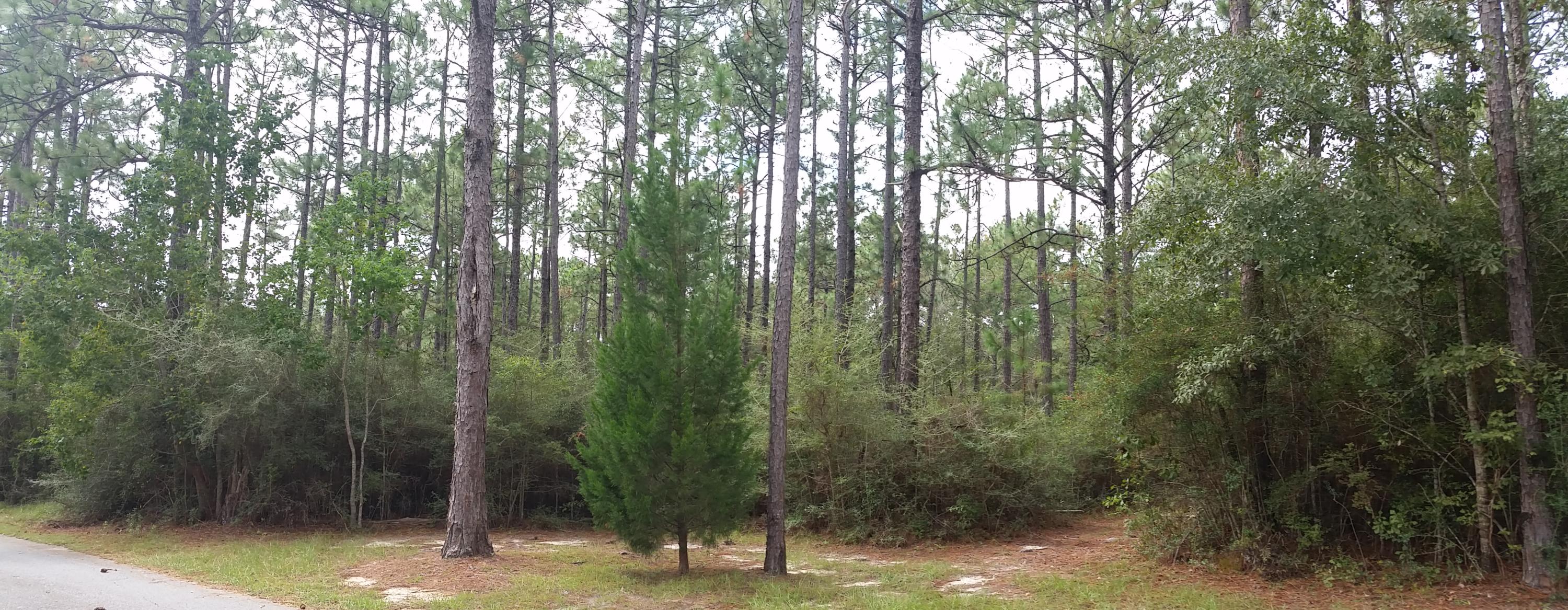 Build your Dream Home on this .98 Acre lot. The development is beautiful with one way in and one way out. Close to shopping areas and interstate 10. A short distance to South Walton Beaches.