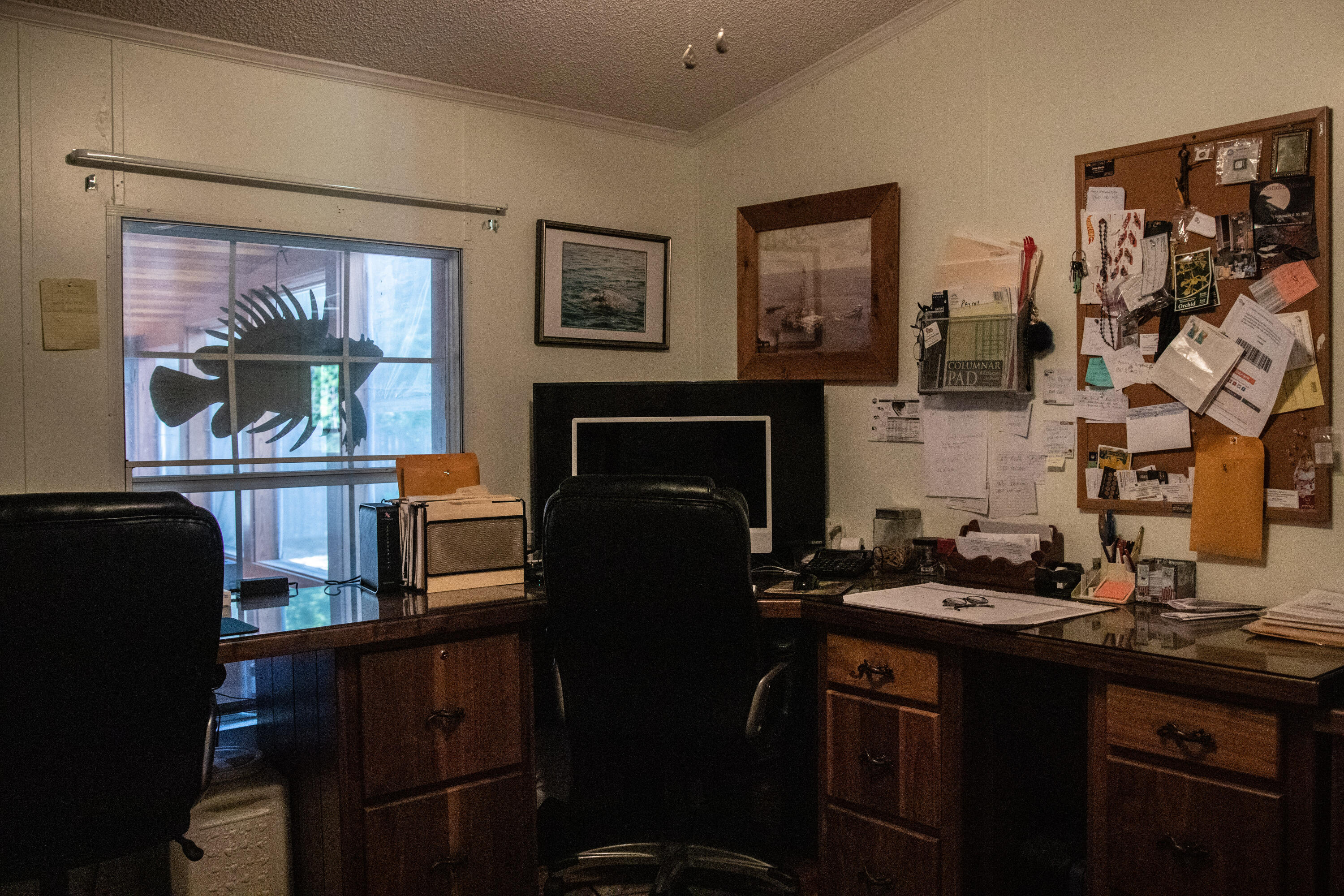 Live Oak Pt - Residential