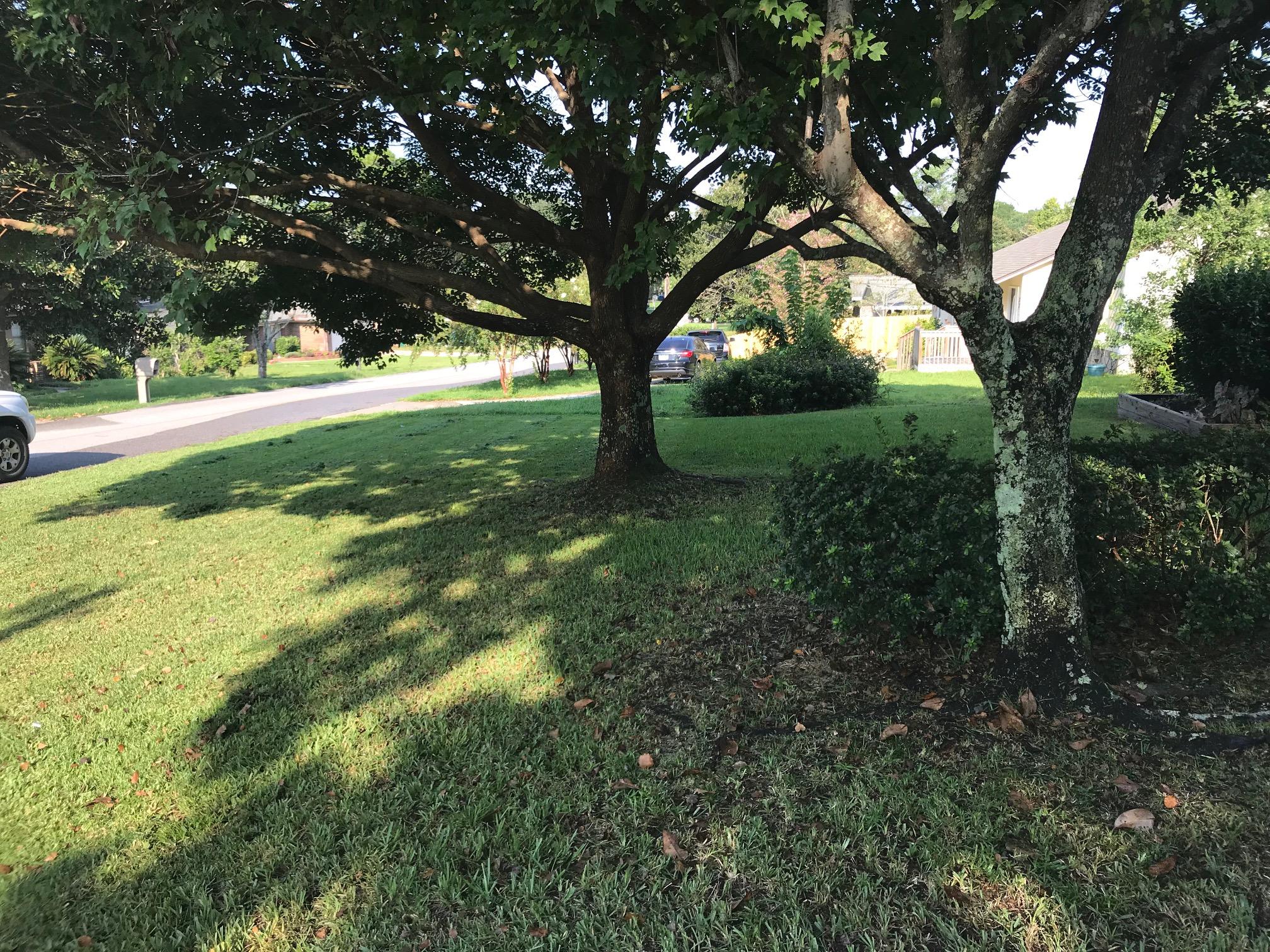 POQUITO BAYOU - Residential