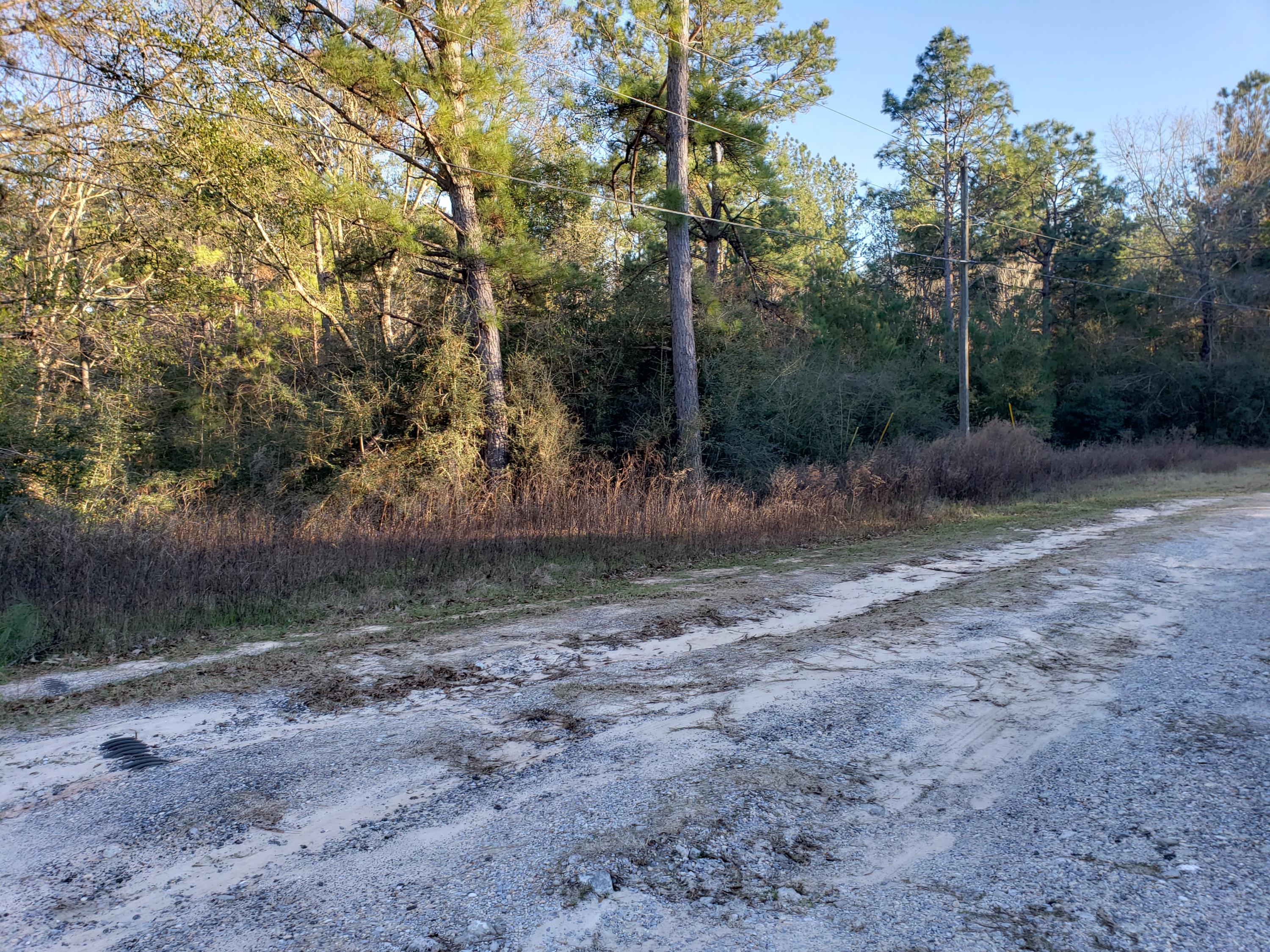 CHARDEE ACRES - Land