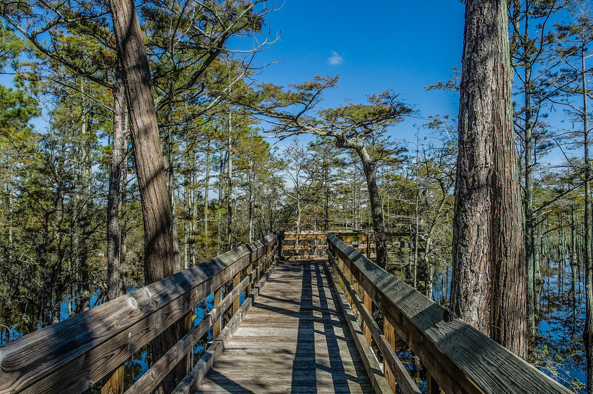 CYPRESS DUNES - Land