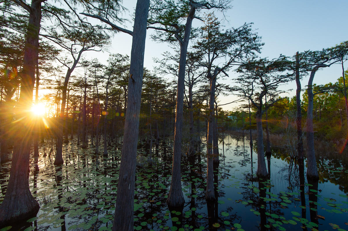 CYPRESS DUNES - Land