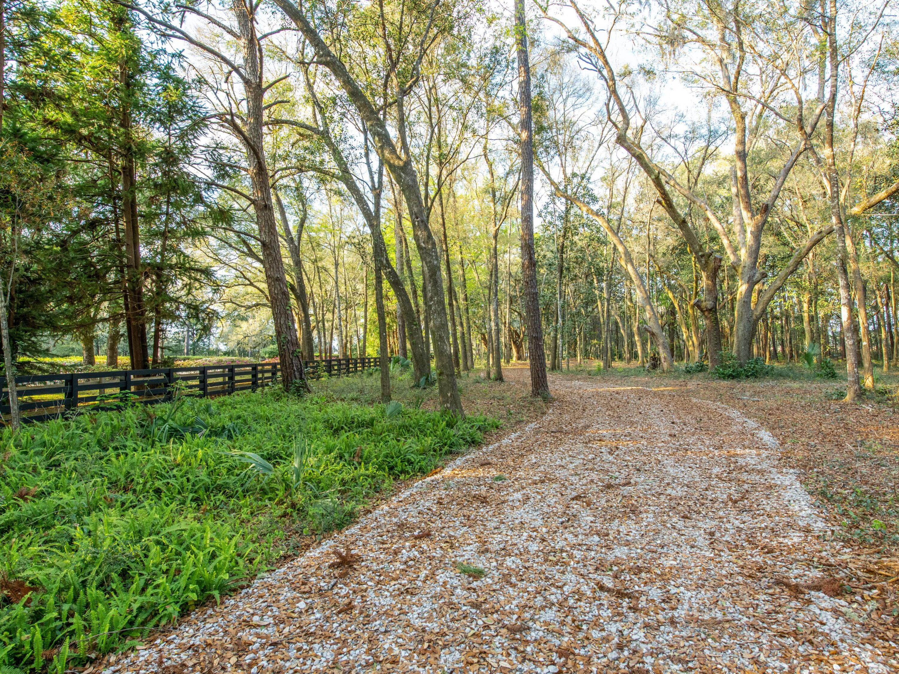 Eden Gardens Retreat - Land