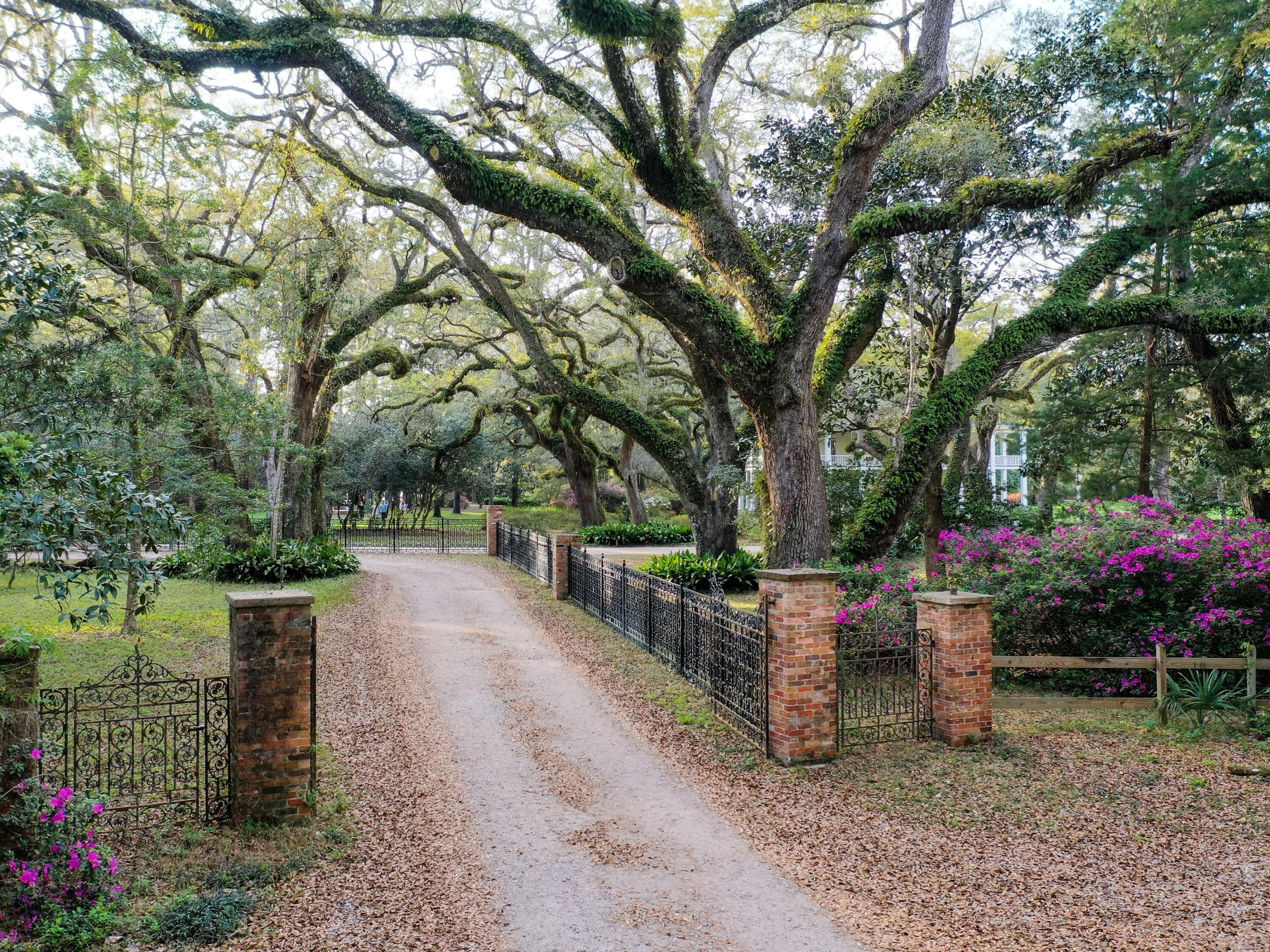 Eden Gardens Retreat - Land