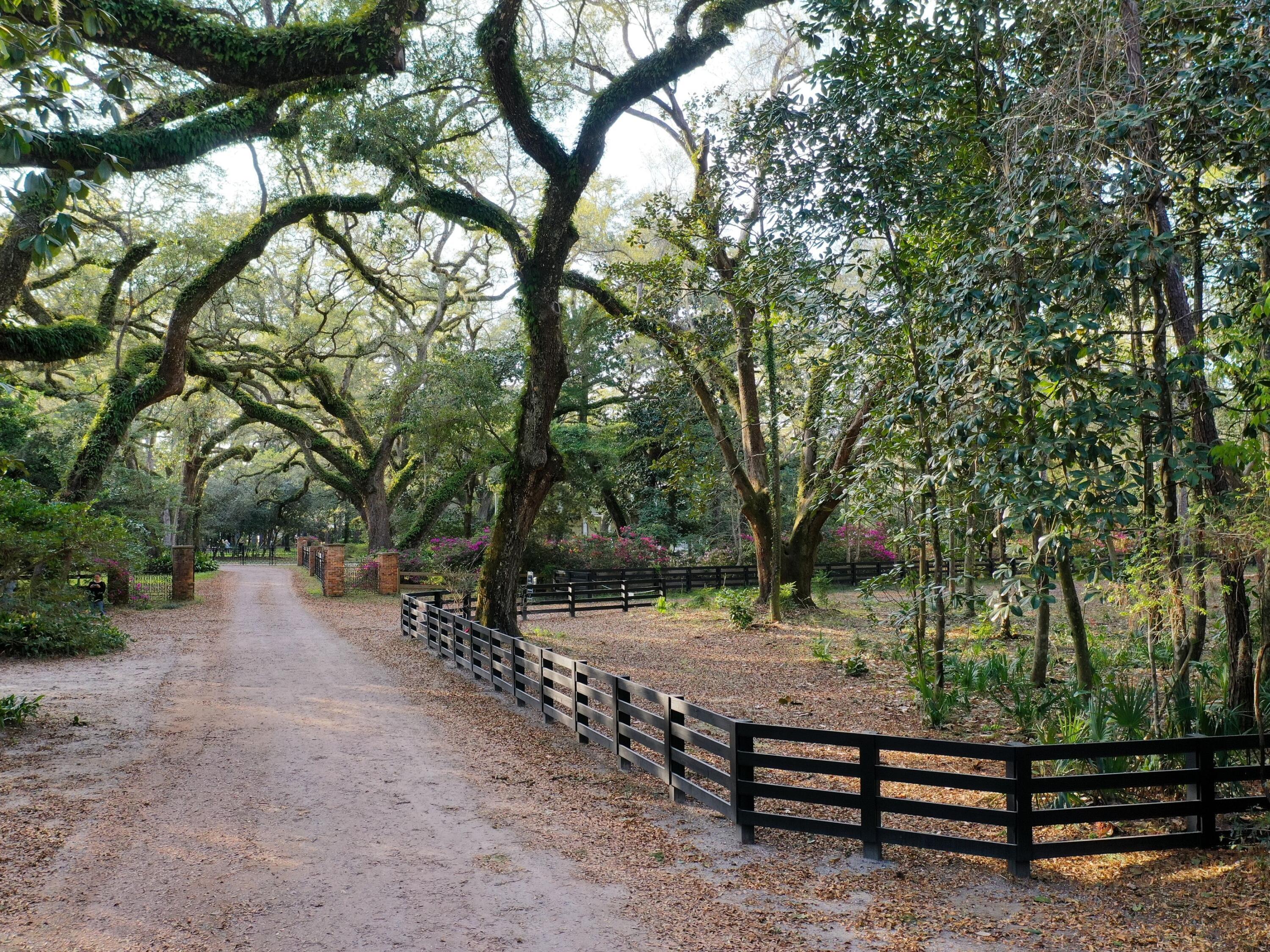 Eden Gardens Retreat - Land