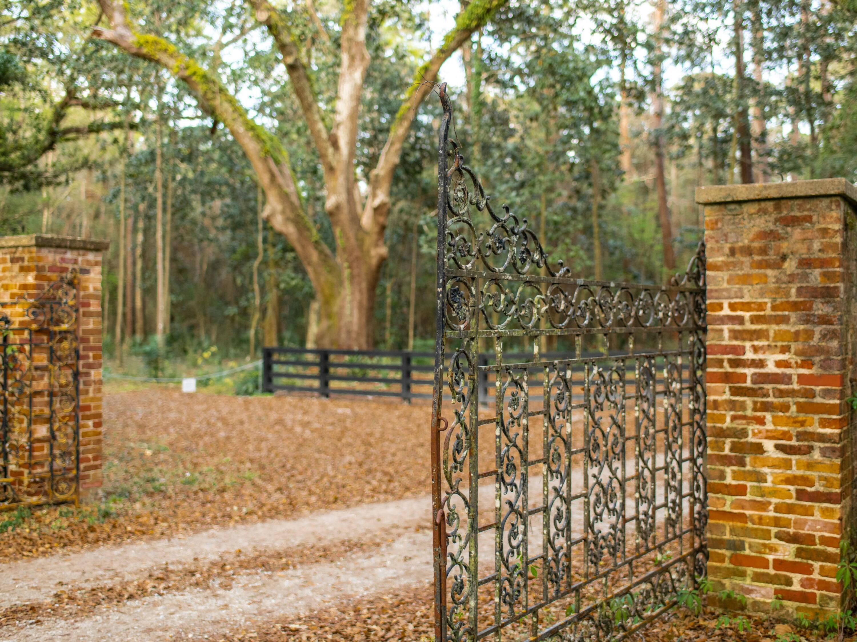 Eden Gardens Retreat - Land