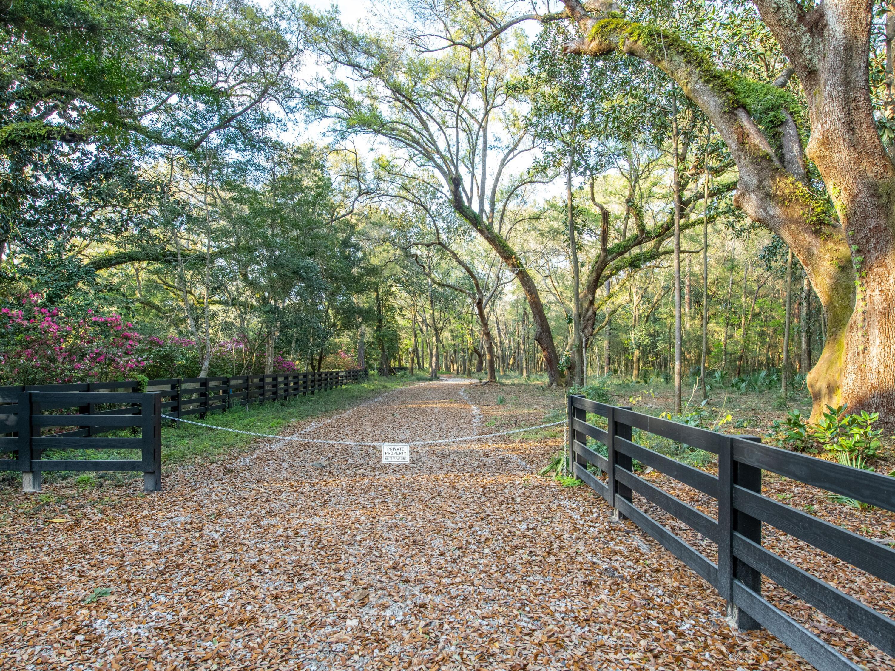 Eden Gardens Retreat - Land