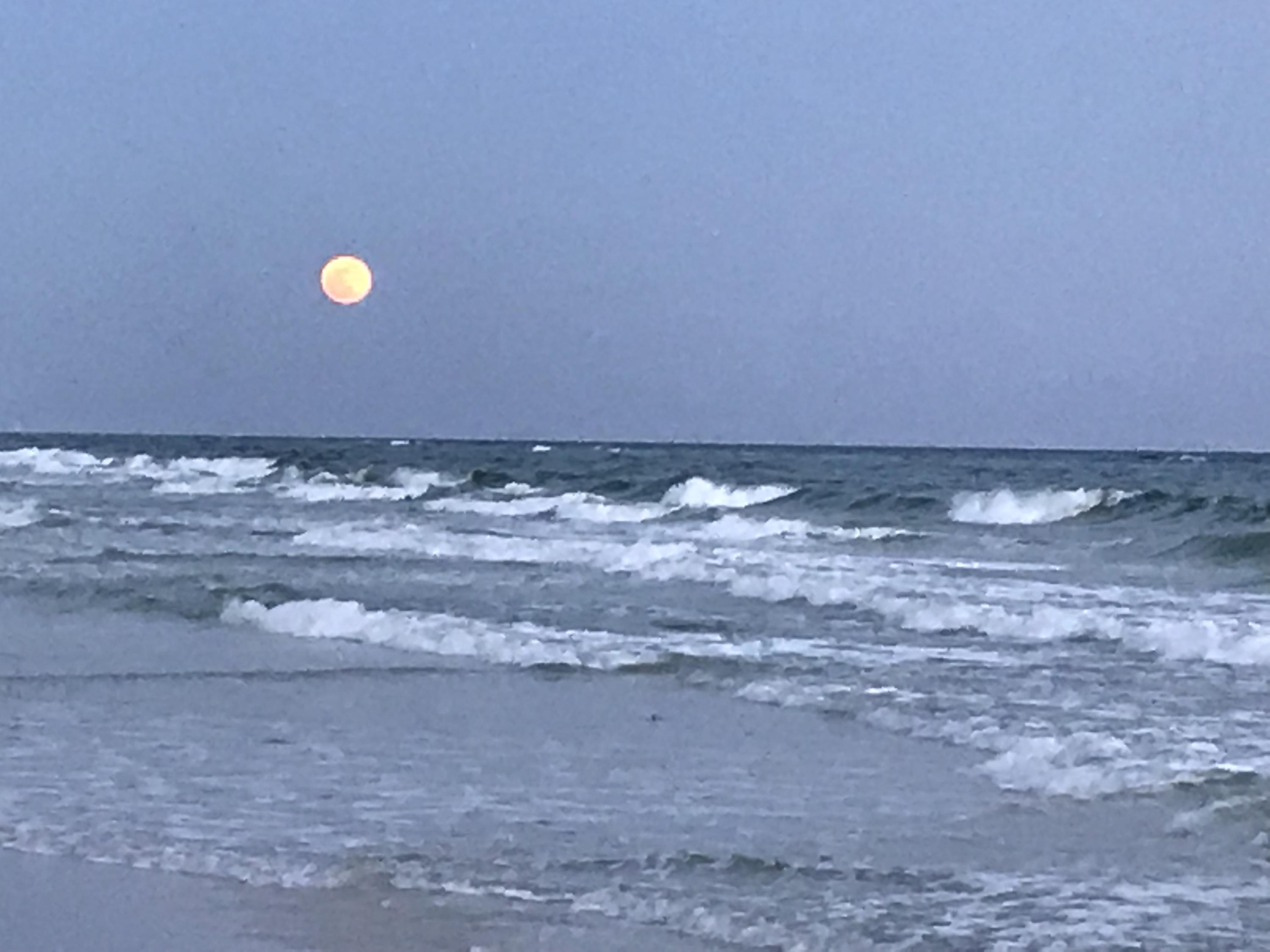 BUNGALOS AT SANDESTIN - Residential