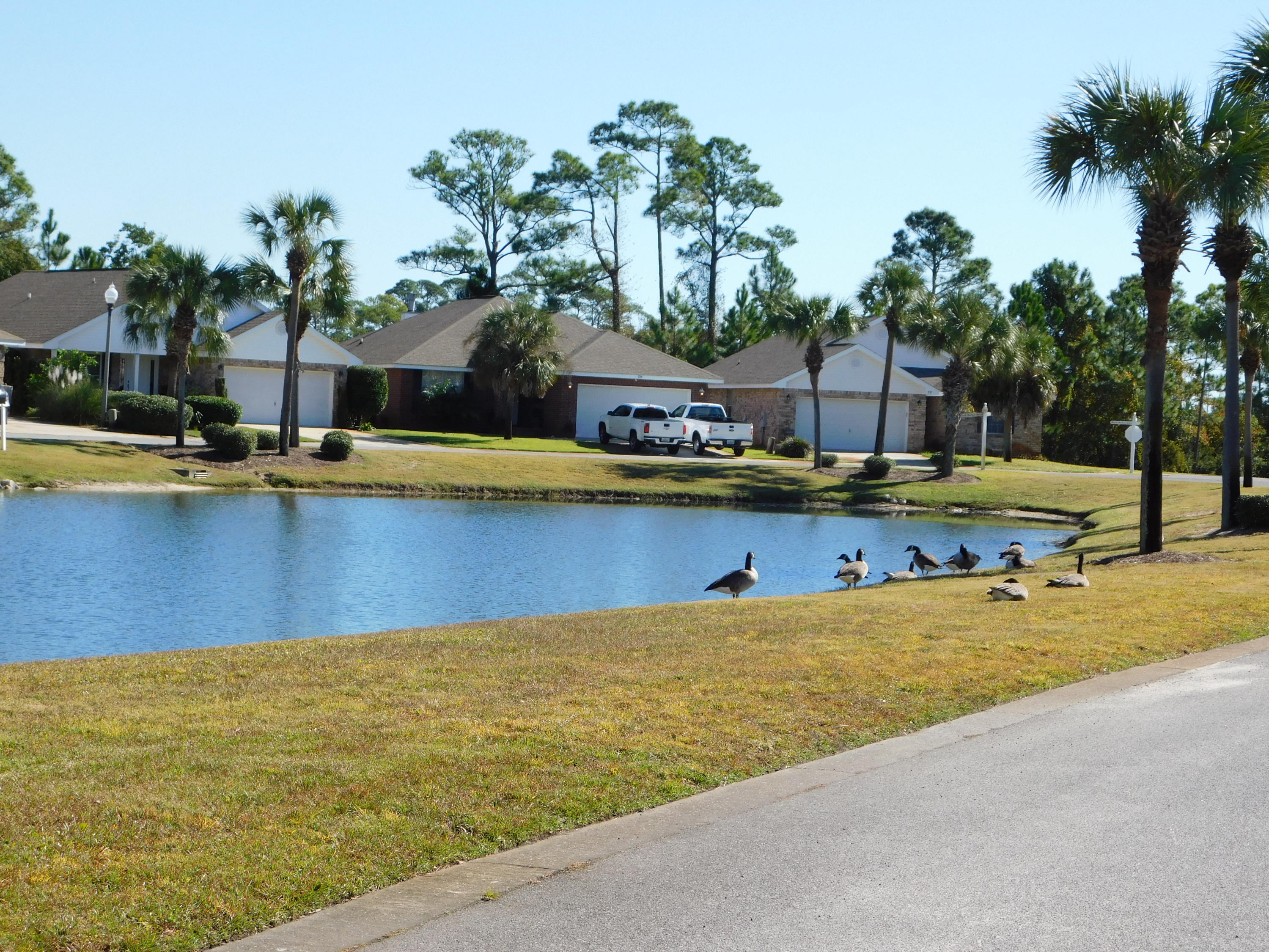 MARSH HARBOR - Residential