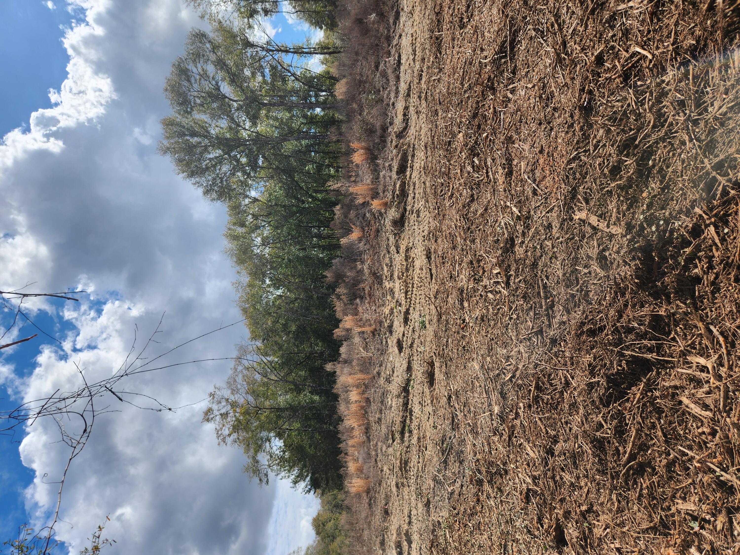 Seacoast Estates - Land