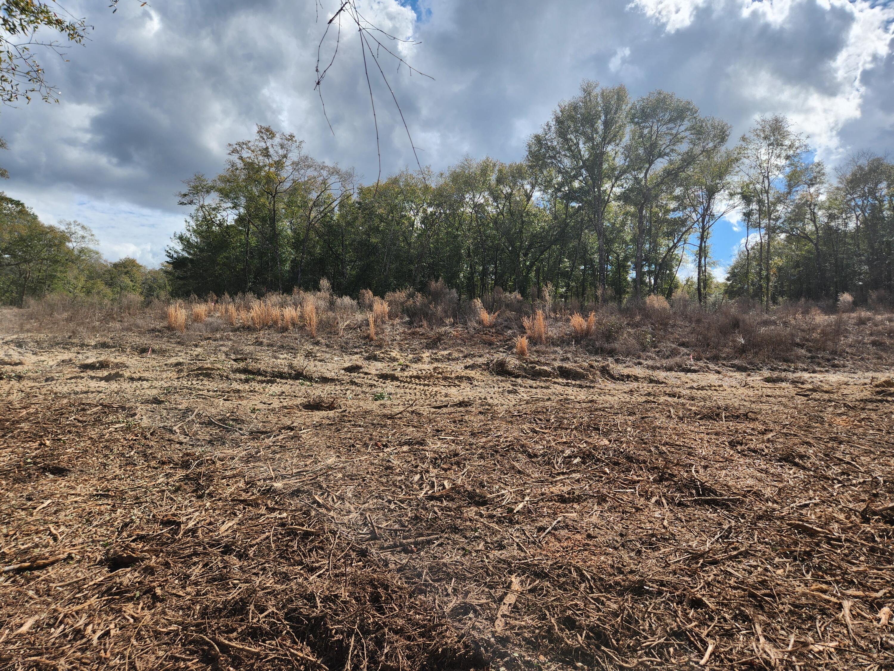 Seacoast Estates - Land