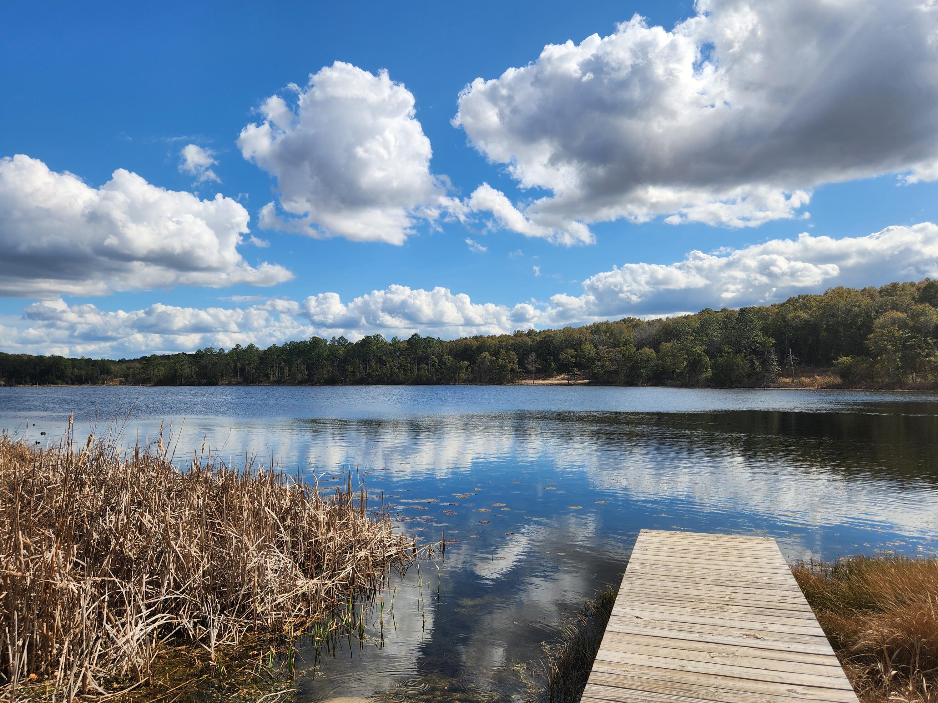 Seacoast Estates - Land