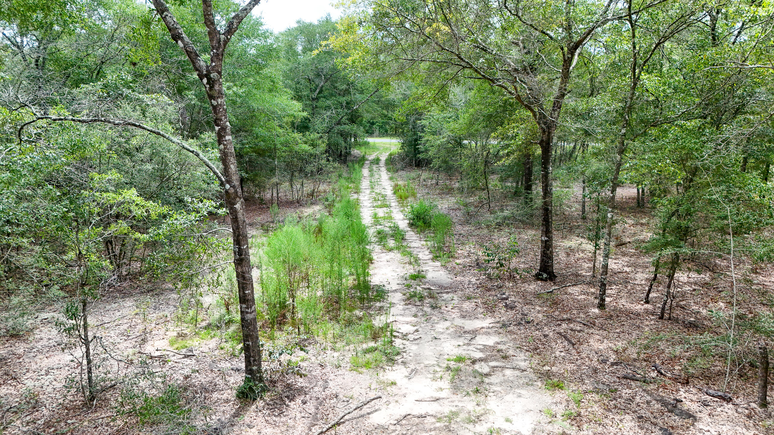 Seacoast Estates - Land