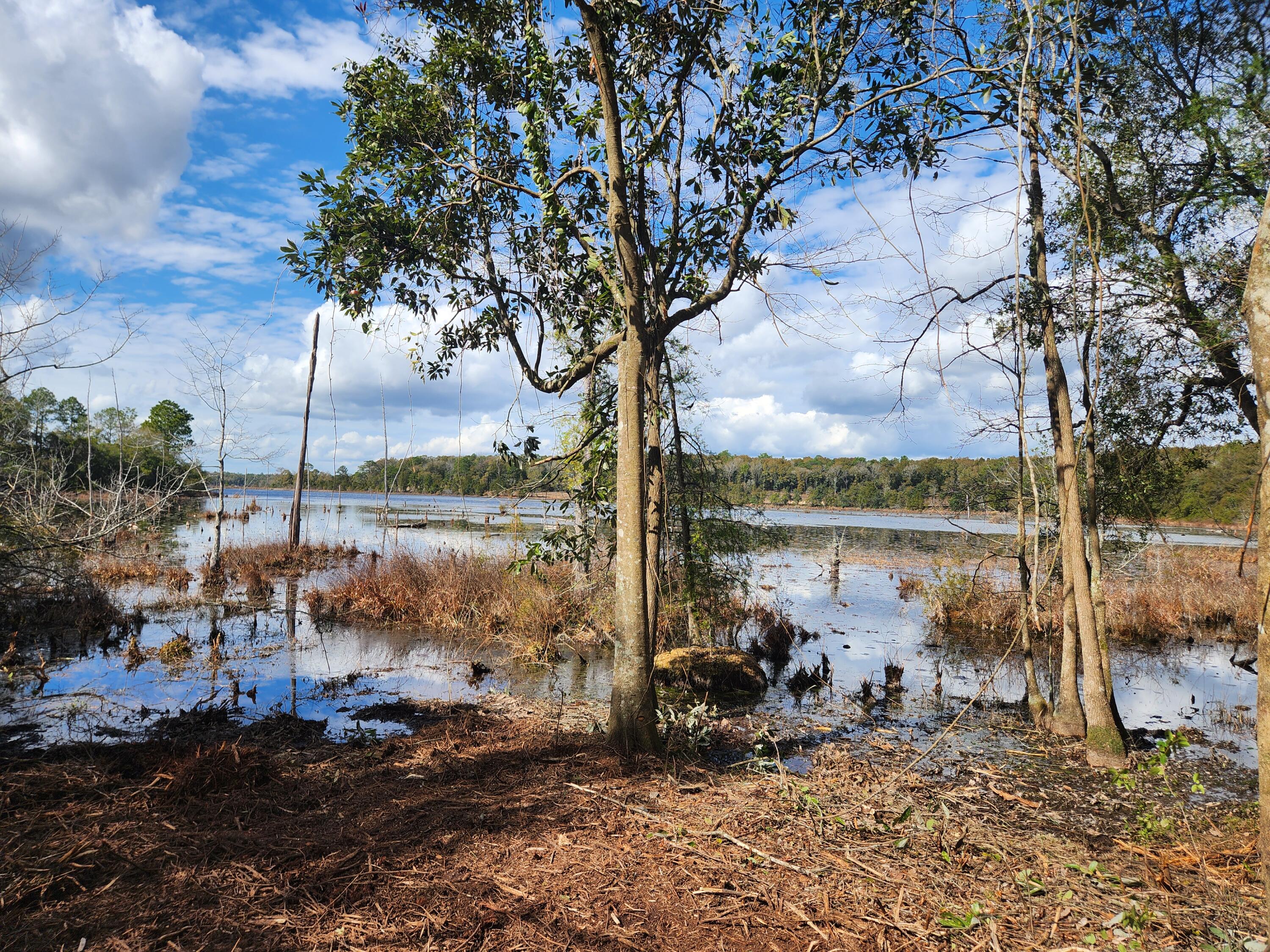 Seacoast Estates - Land