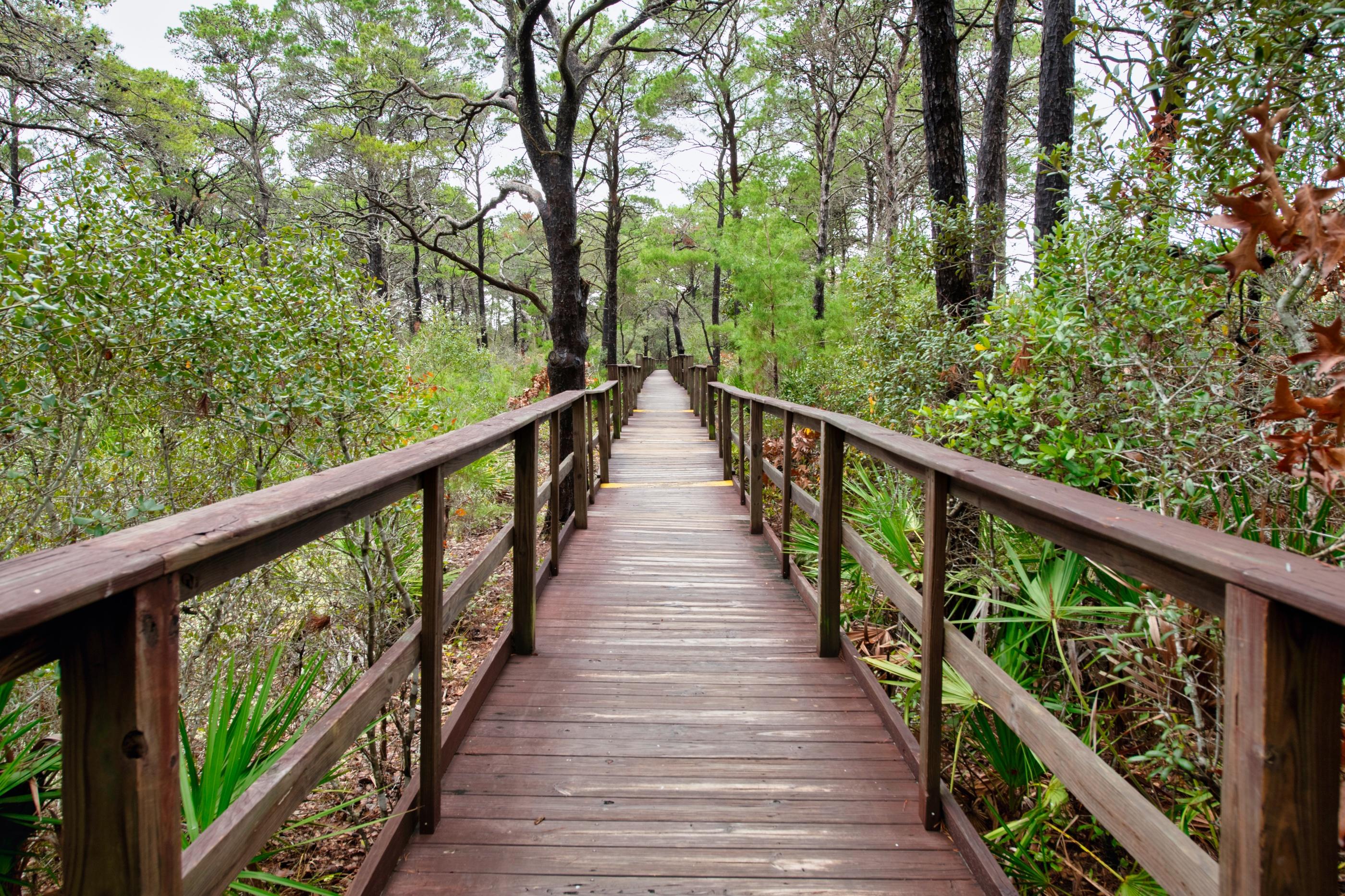 THE PRESERVE AT GRAYTON BEACH - Residential