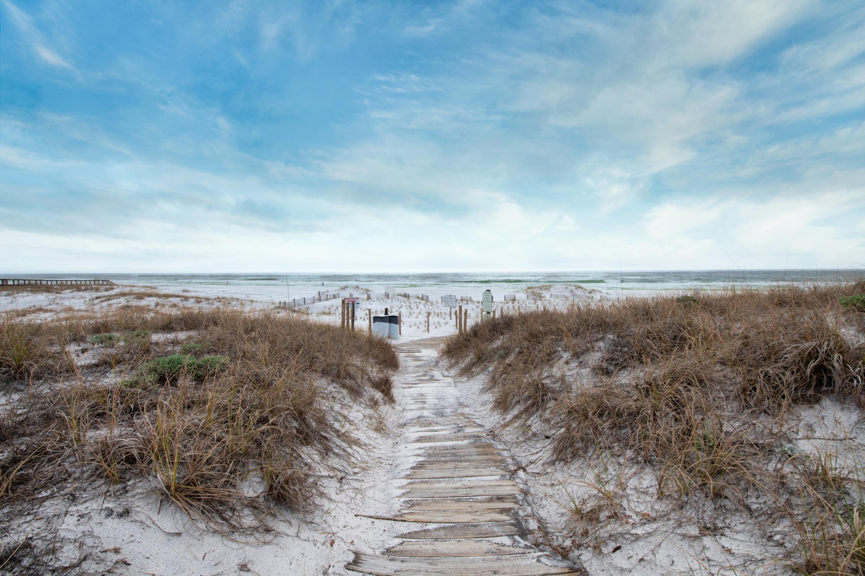 THE PRESERVE AT GRAYTON BEACH - Residential