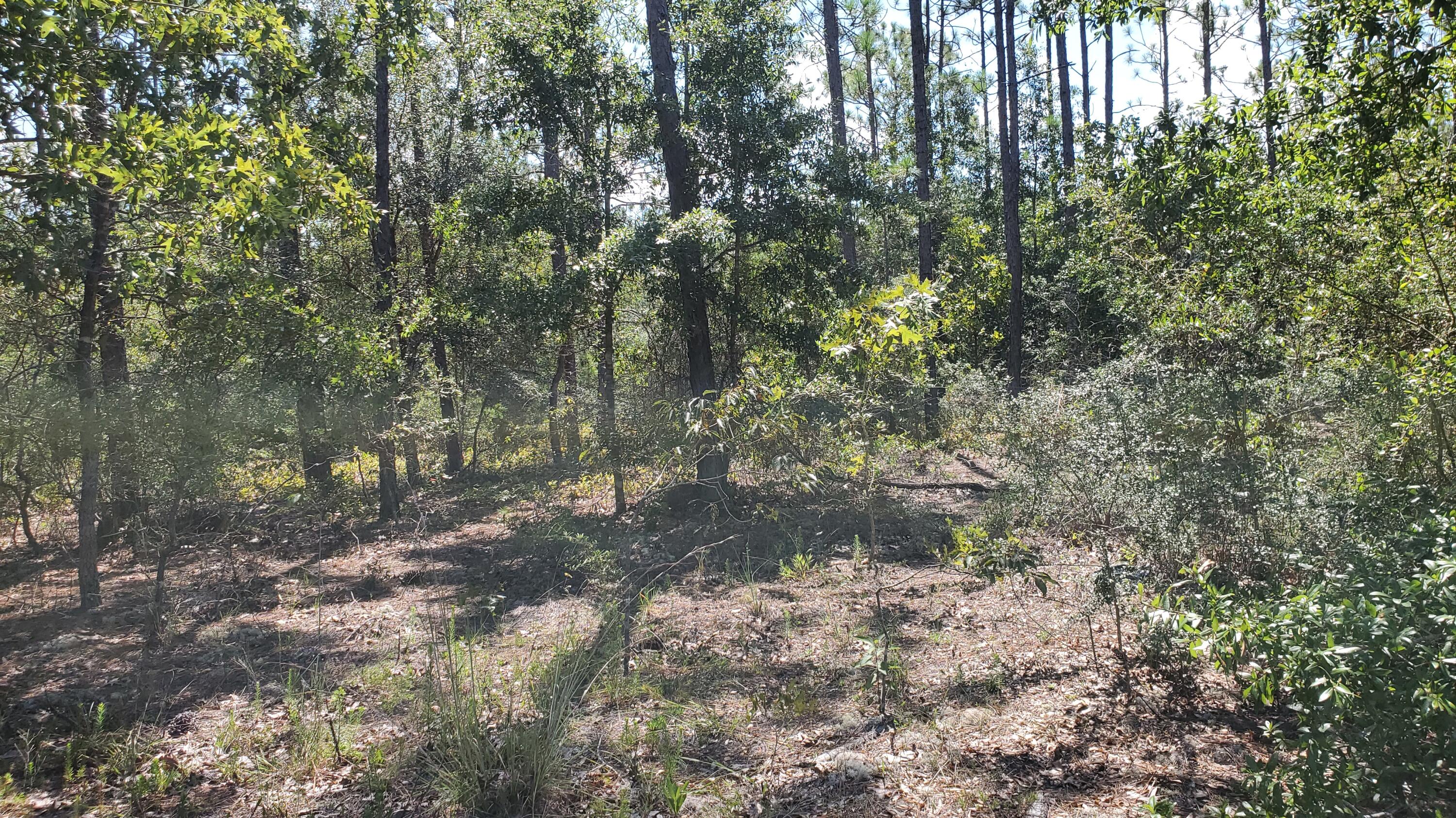 Great location, just east of Crestview! Need acreage to build your dream home on? THIS IS IT! Lots of new builds in this area in the last two years!! Great schools, too! Call today to view!! Survey/Aerial/Topo(elevations) map available!