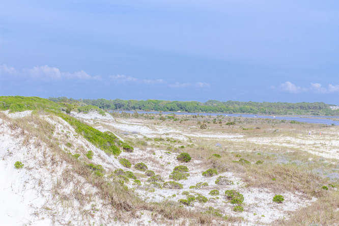 SHORELINE 9 T/H - Residential