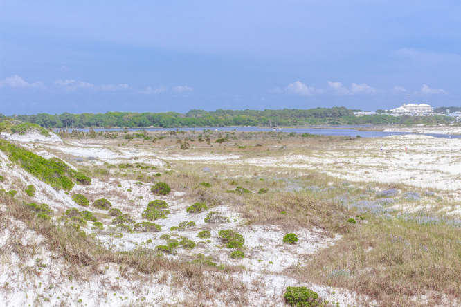 SHORELINE 9 T/H - Residential