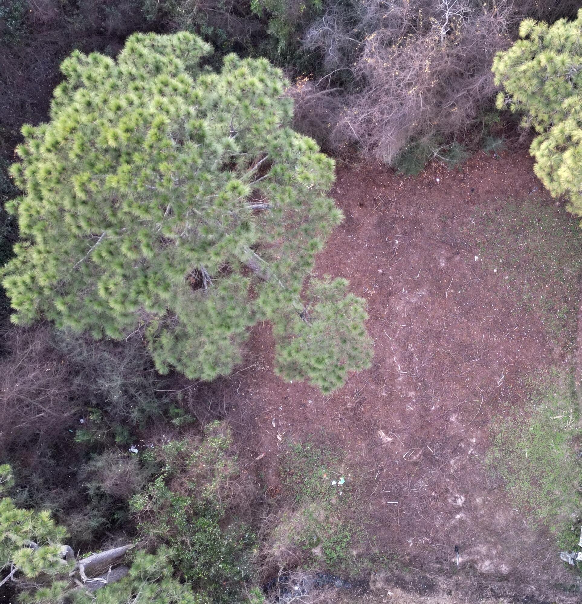 AZALEA ESTATES - Land