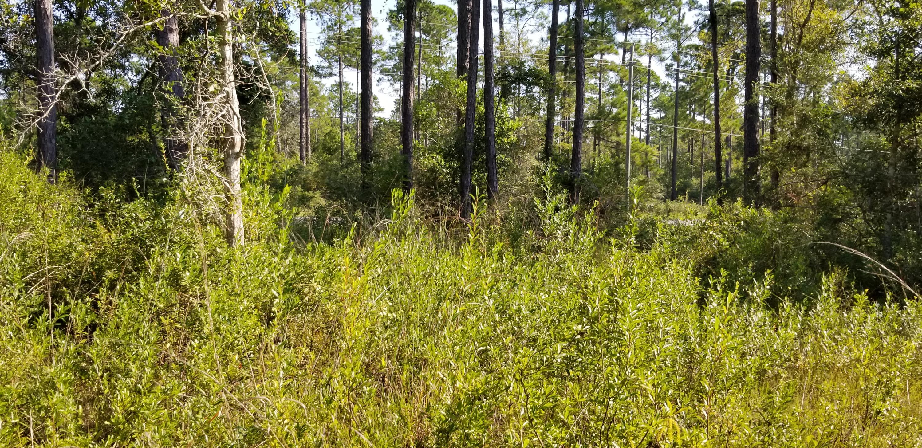 BEAR CREEK PH I - Land