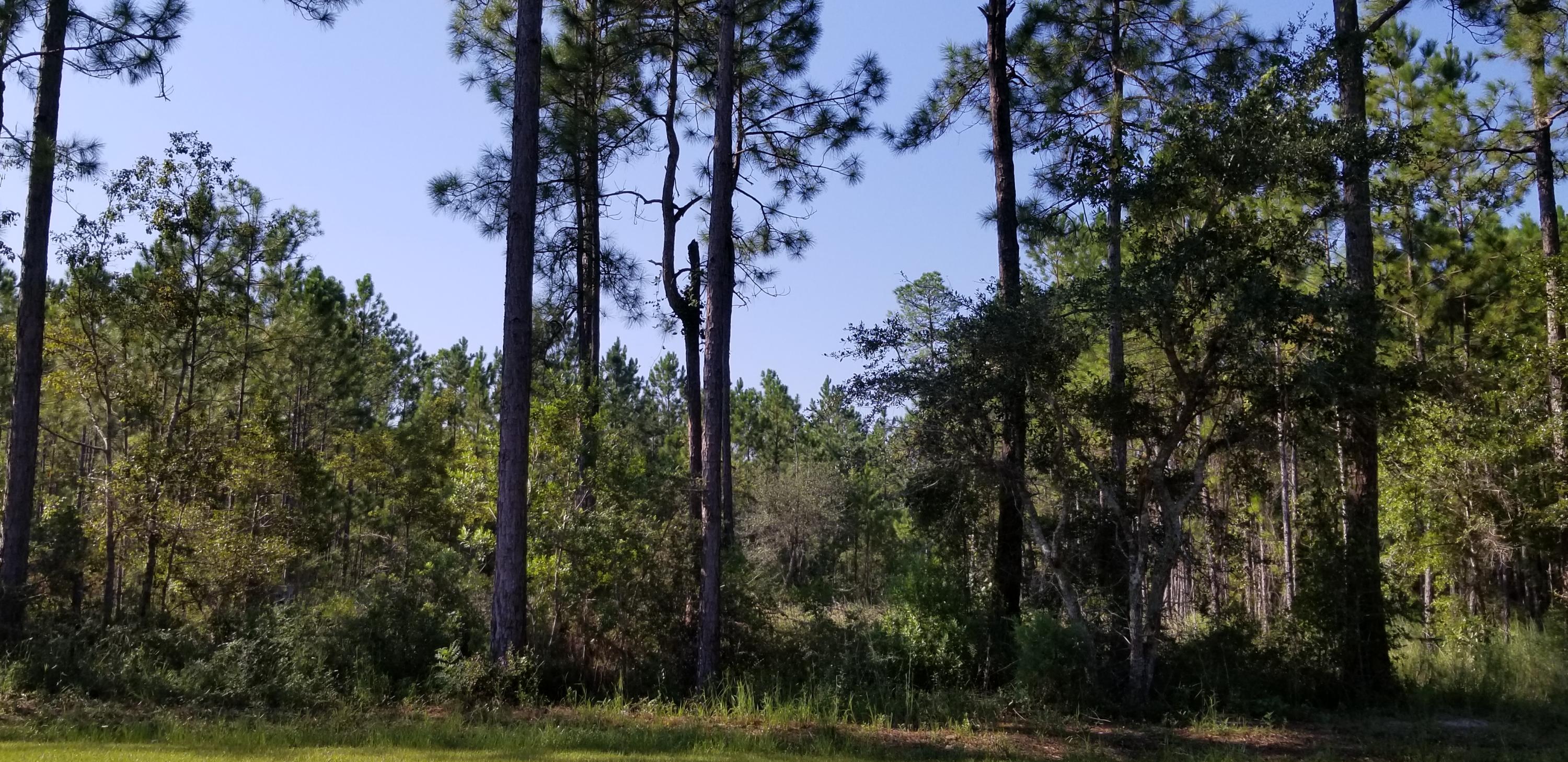 BEAR CREEK PH I - Land