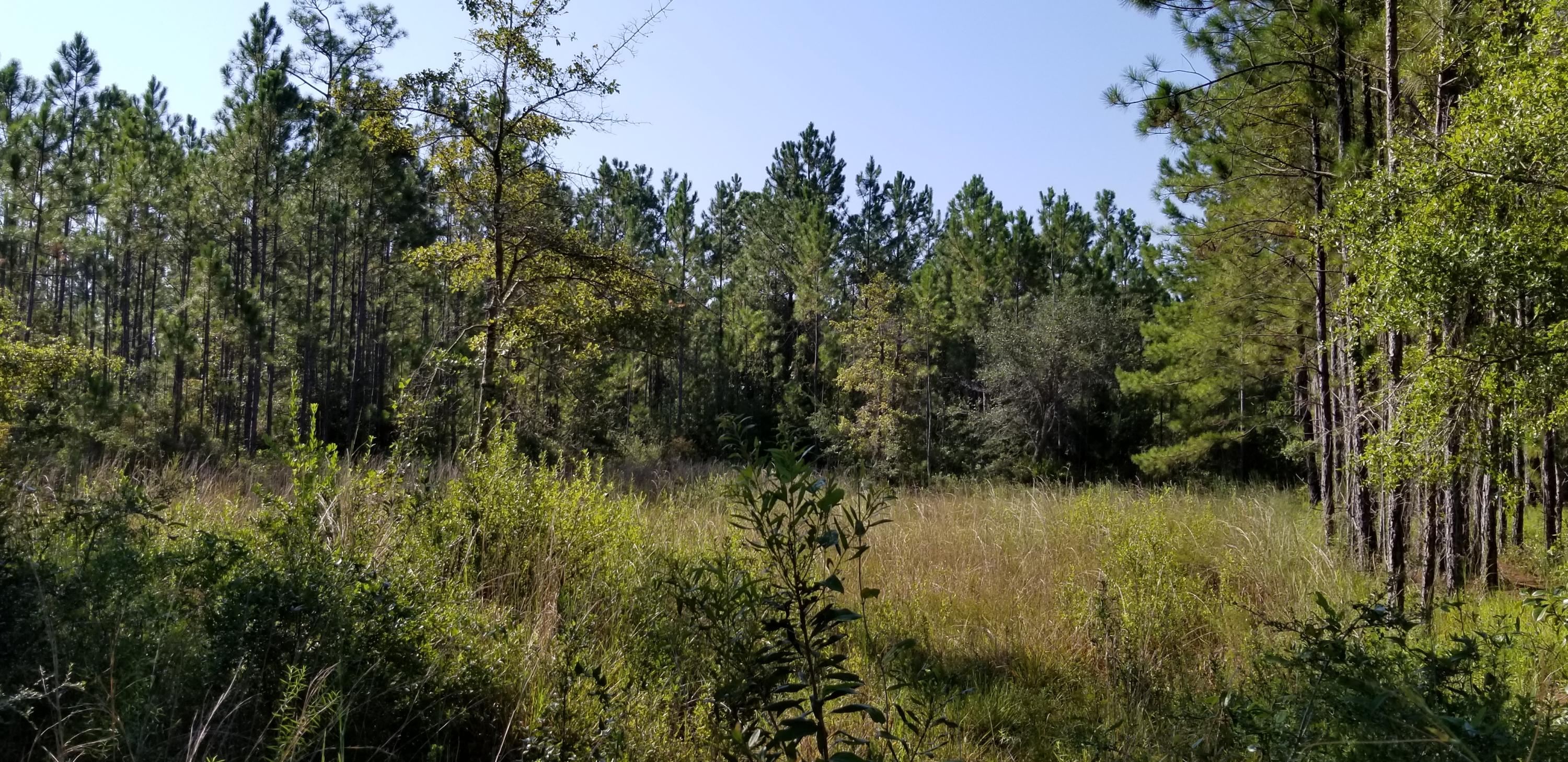 BEAR CREEK PH I - Land