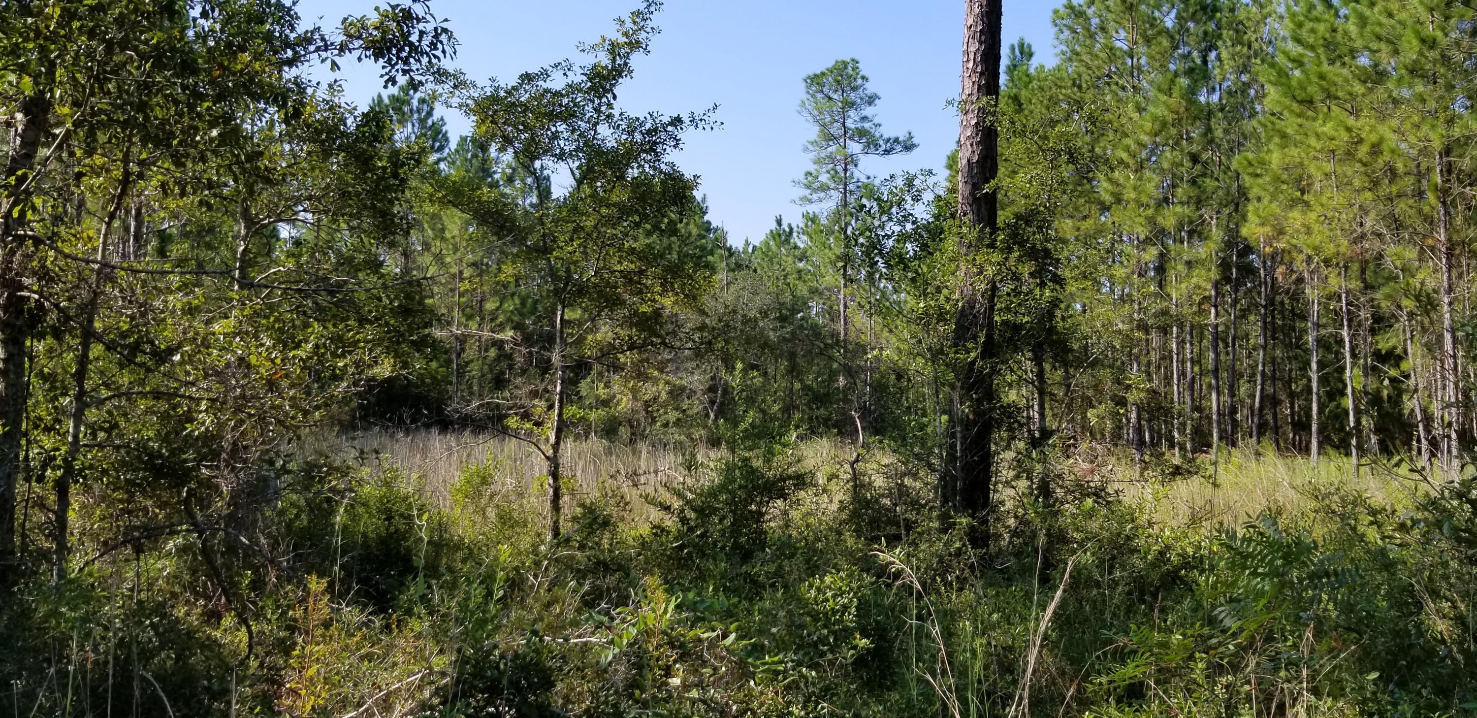 BEAR CREEK PH I - Land