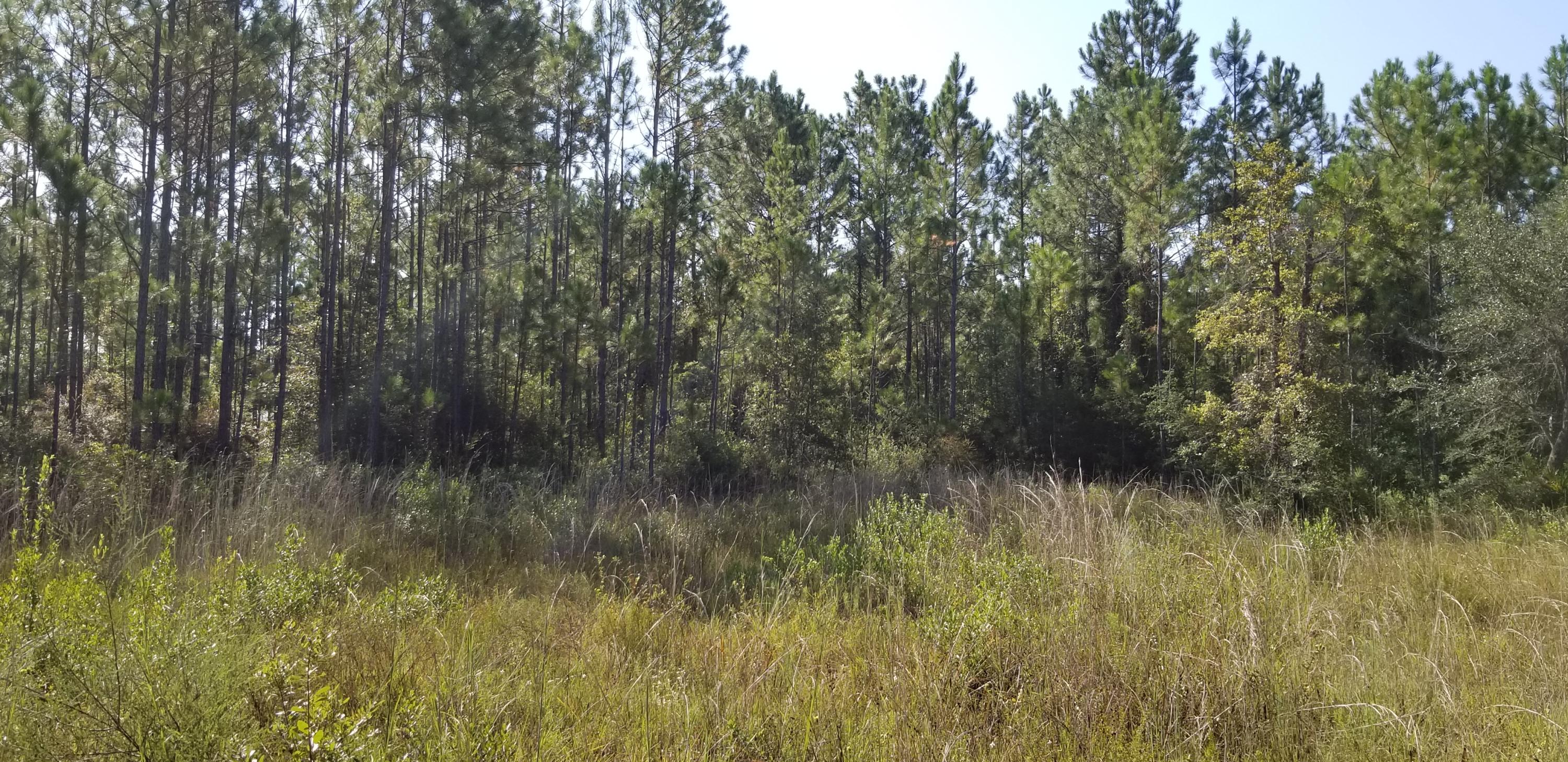 BEAR CREEK PH I - Land