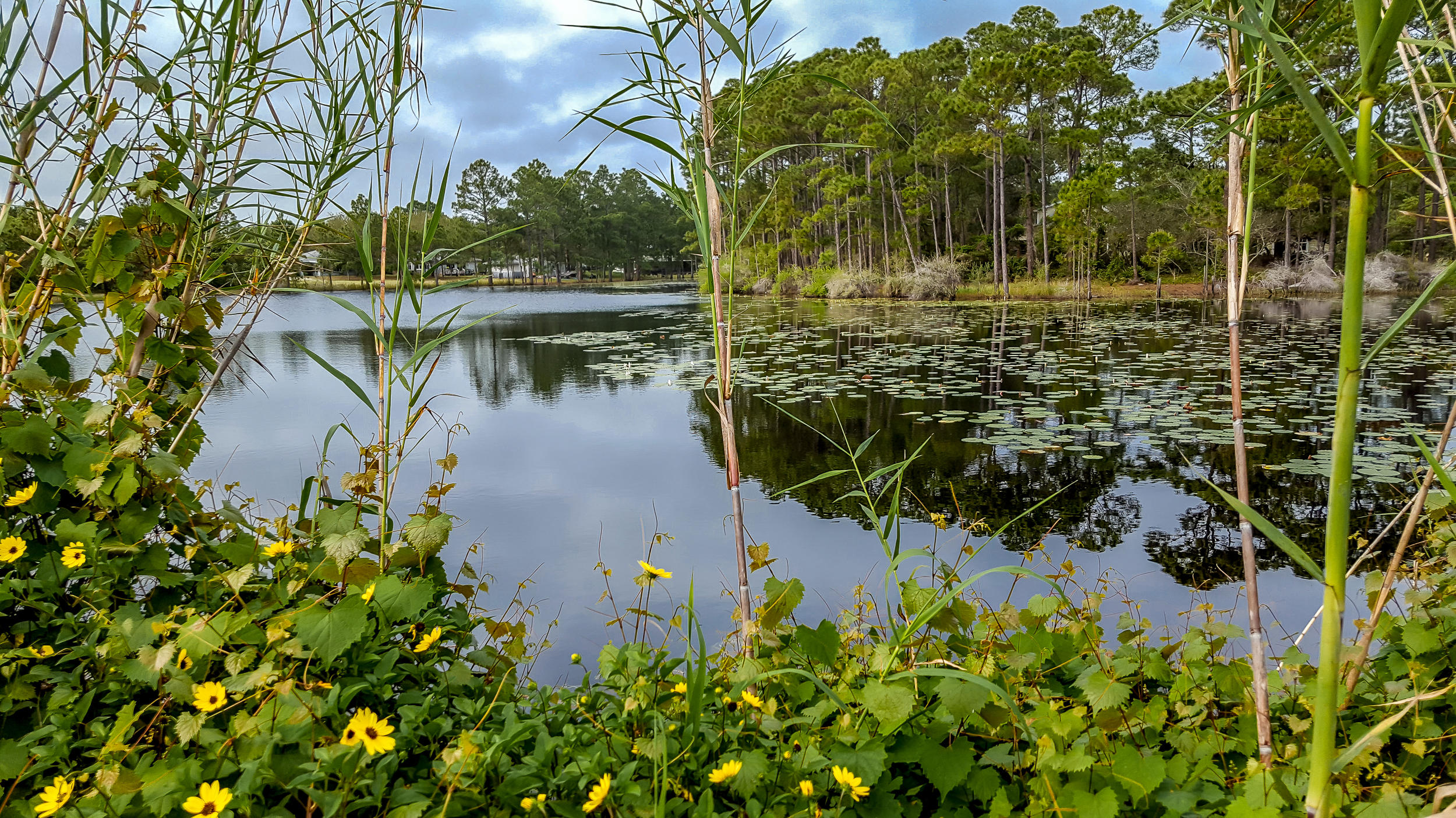BEACHSIDE VILLAS CONDO - Residential