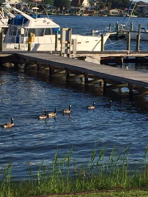 PIRATES BAY PH 1 - Residential