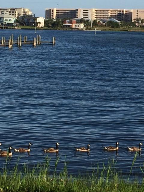 PIRATES BAY PH 1 - Residential