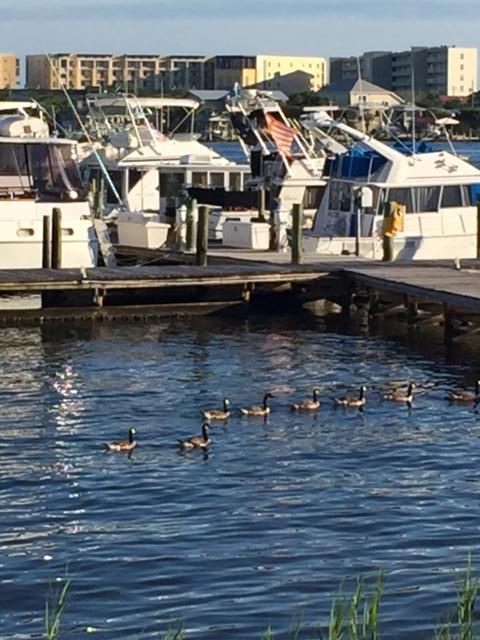 PIRATES BAY PH 1 - Residential