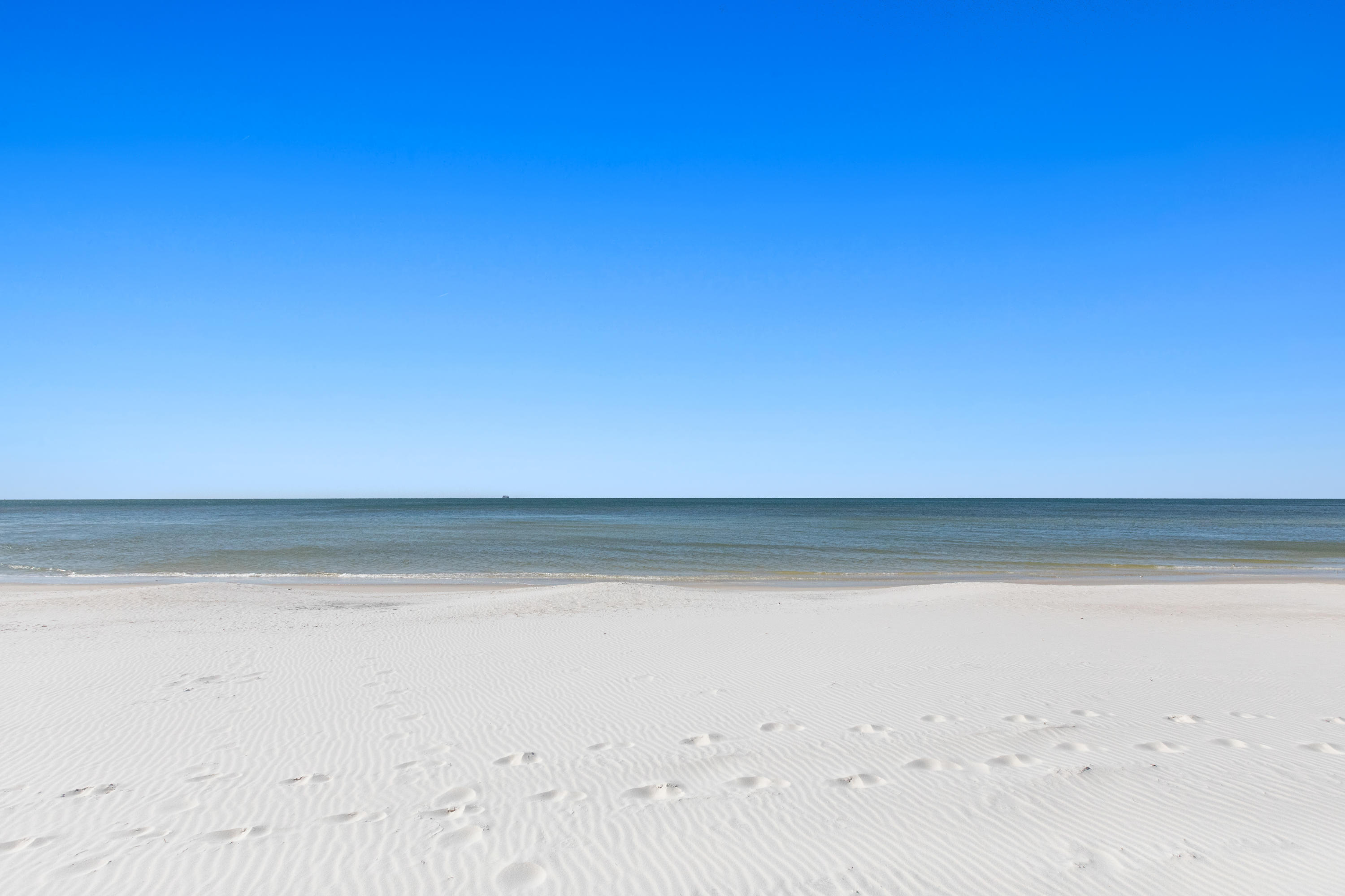 The Commodore - Residential