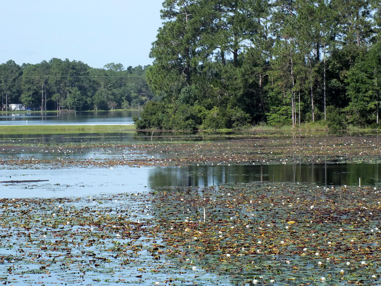 Large, wooded , sloping lot on Juniper Lake, a State managed 600+ acre lake. The lot is close to the Cat Island Rd public boat launch and is approximately 10 minutes from historic downtown DeFuniak Springs, voted the Best small town in Florida by MainStreet USA..