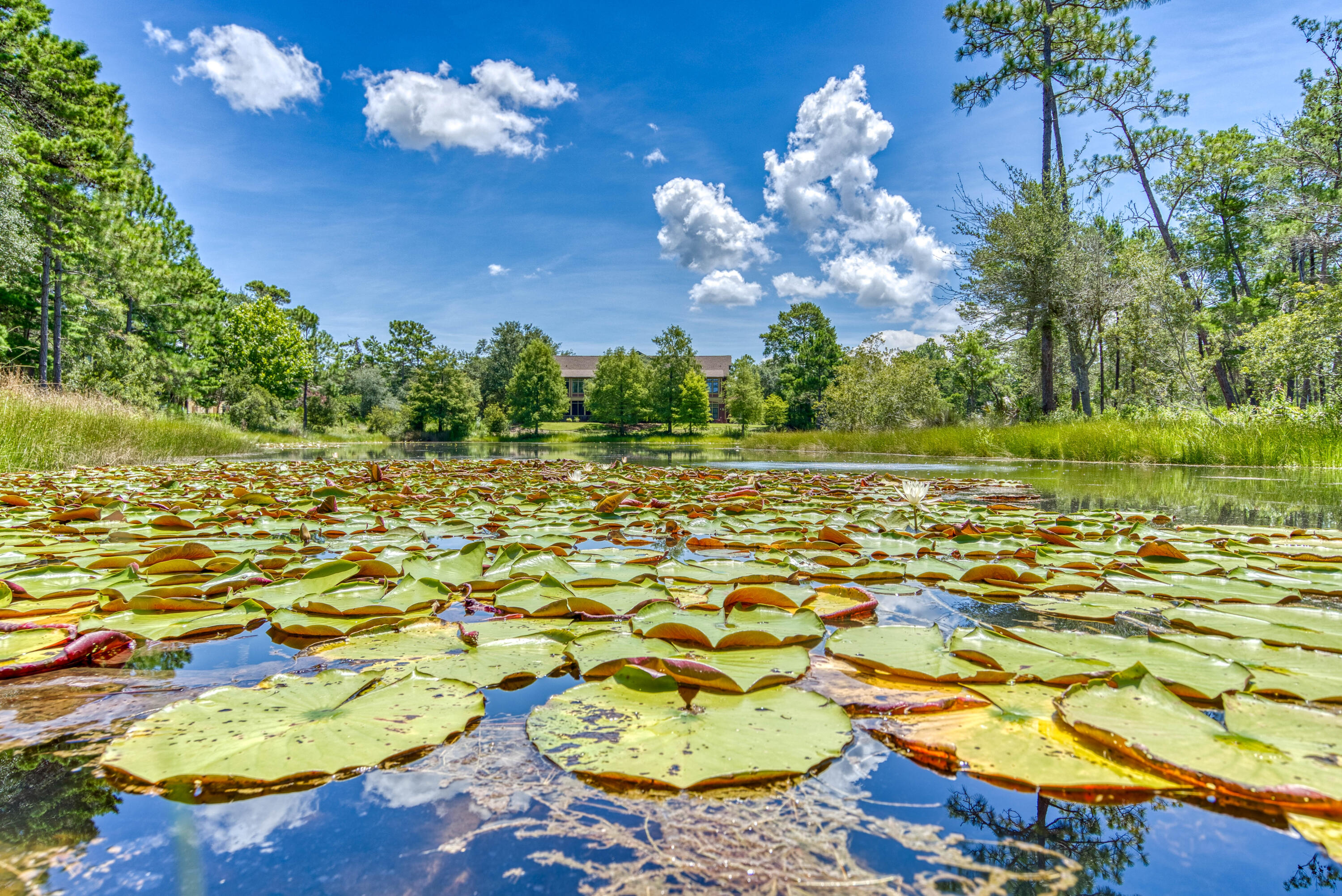 LINKSIDE AT WILD HERON - Residential