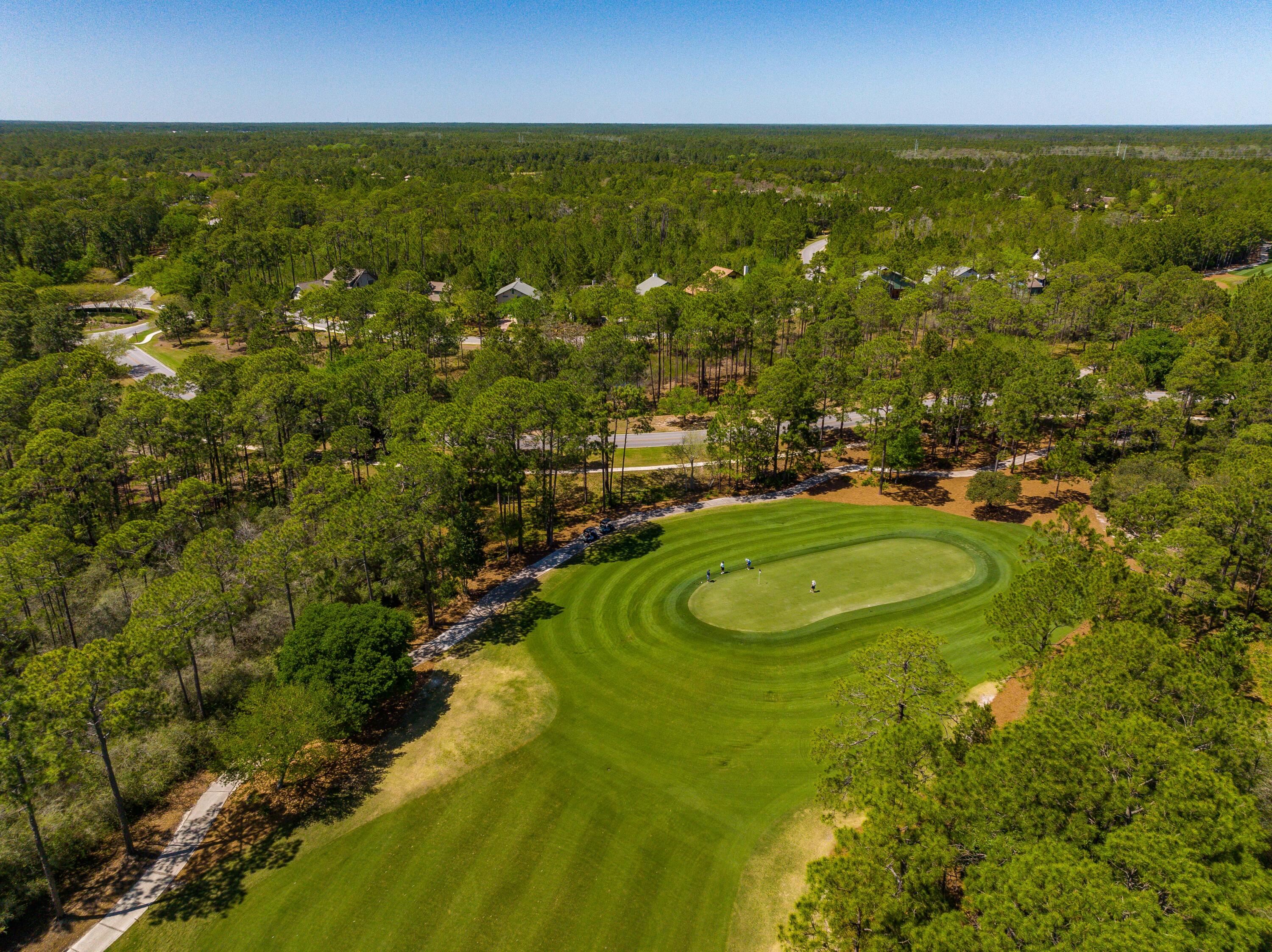 LINKSIDE AT WILD HERON - Residential