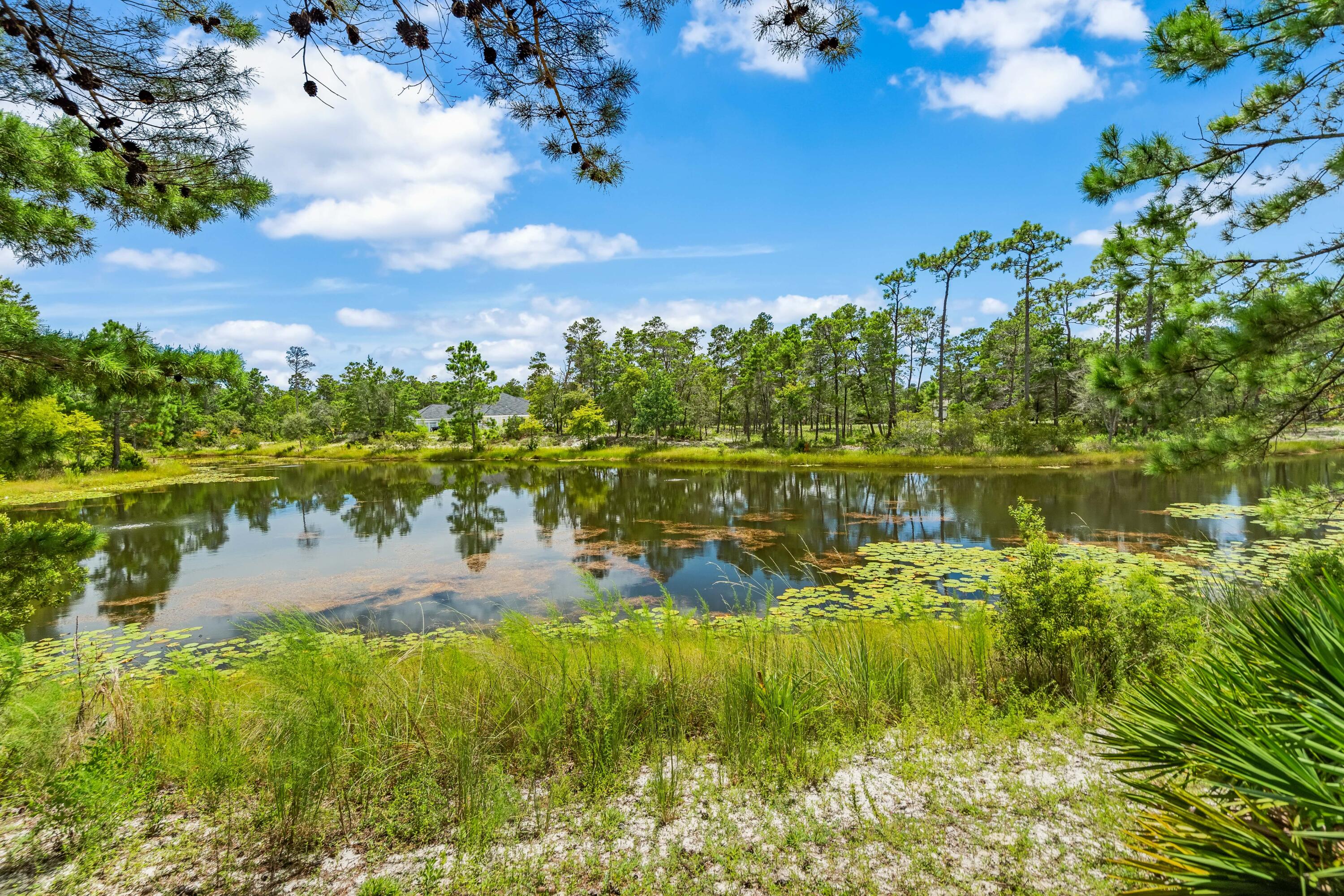 LINKSIDE AT WILD HERON - Residential